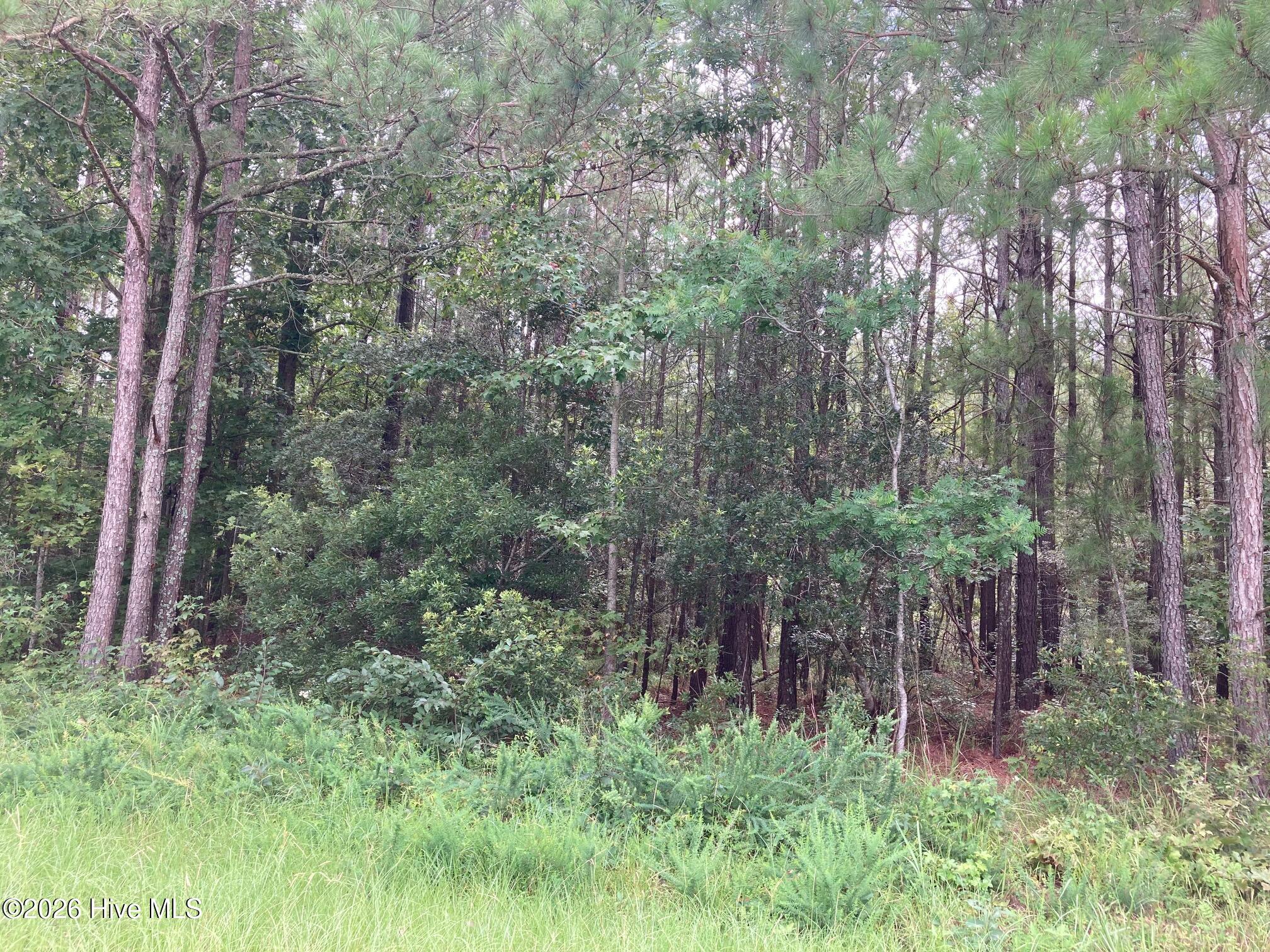 Lot # 33 33 33 Pine Crest Road Property Photo 3