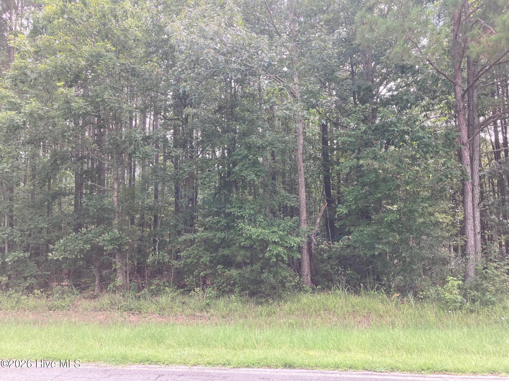 Lot # 33 33 33 Pine Crest Road Property Photo 4