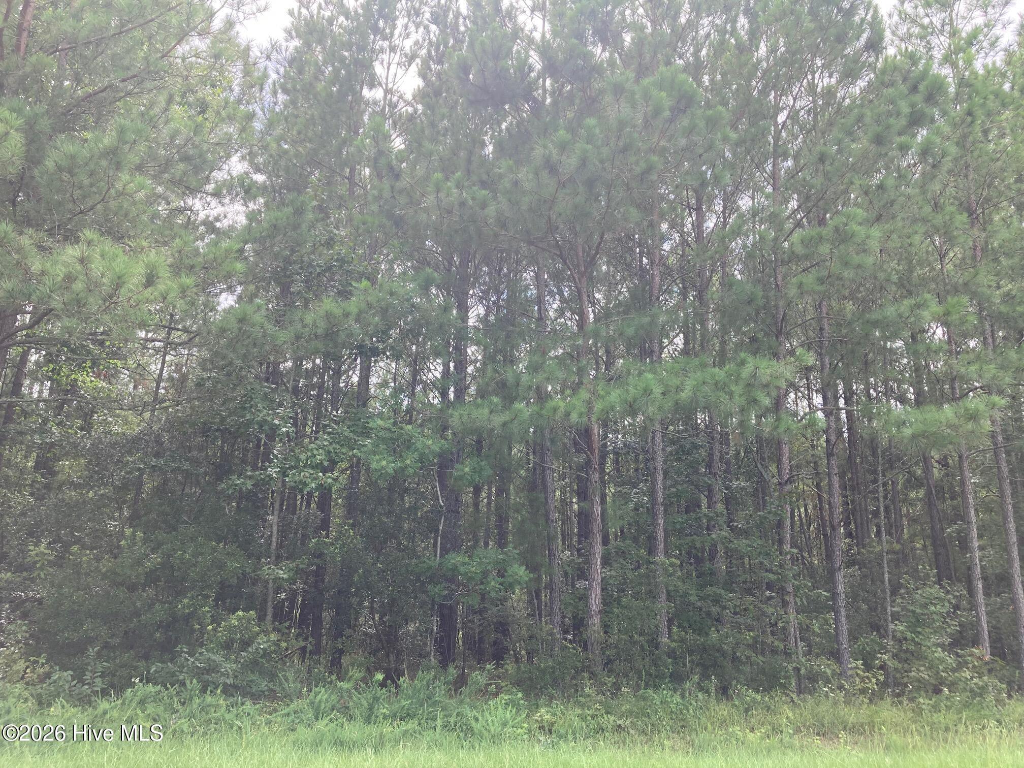 Lot # 33 33 33 Pine Crest Road Property Photo 5
