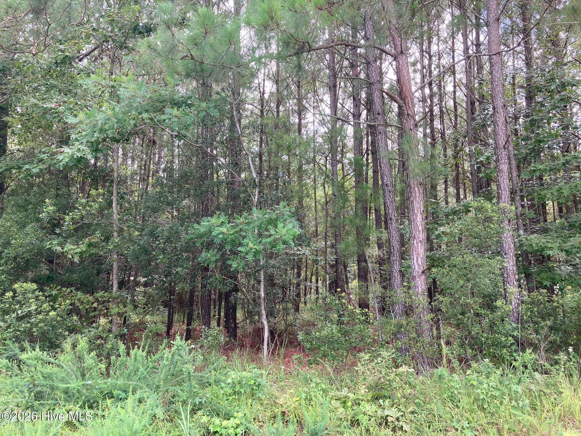 Lot # 33 33 33 Pine Crest Road Property Photo 6