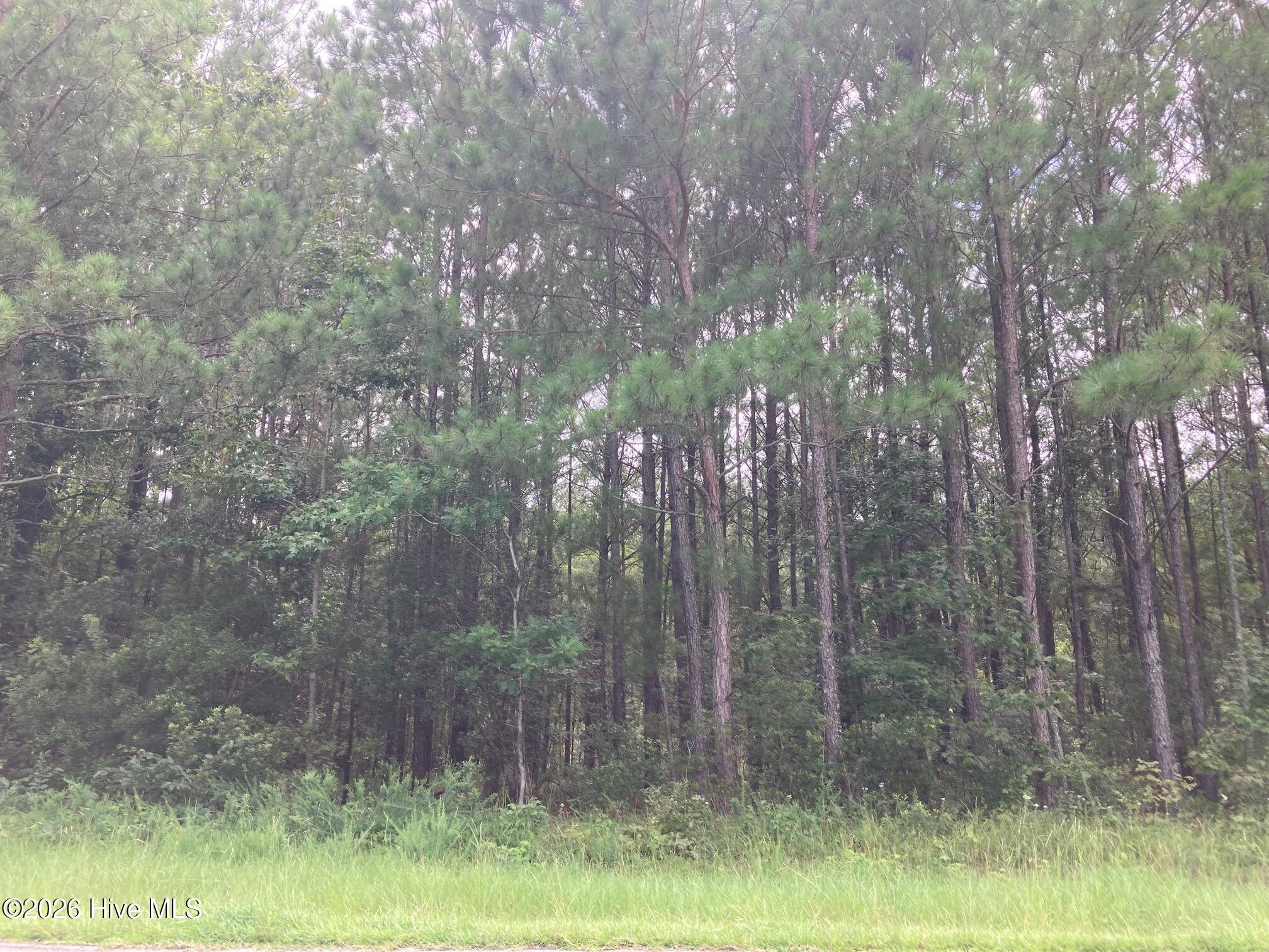 Lot # 33 33 33 Pine Crest Road Property Photo 7