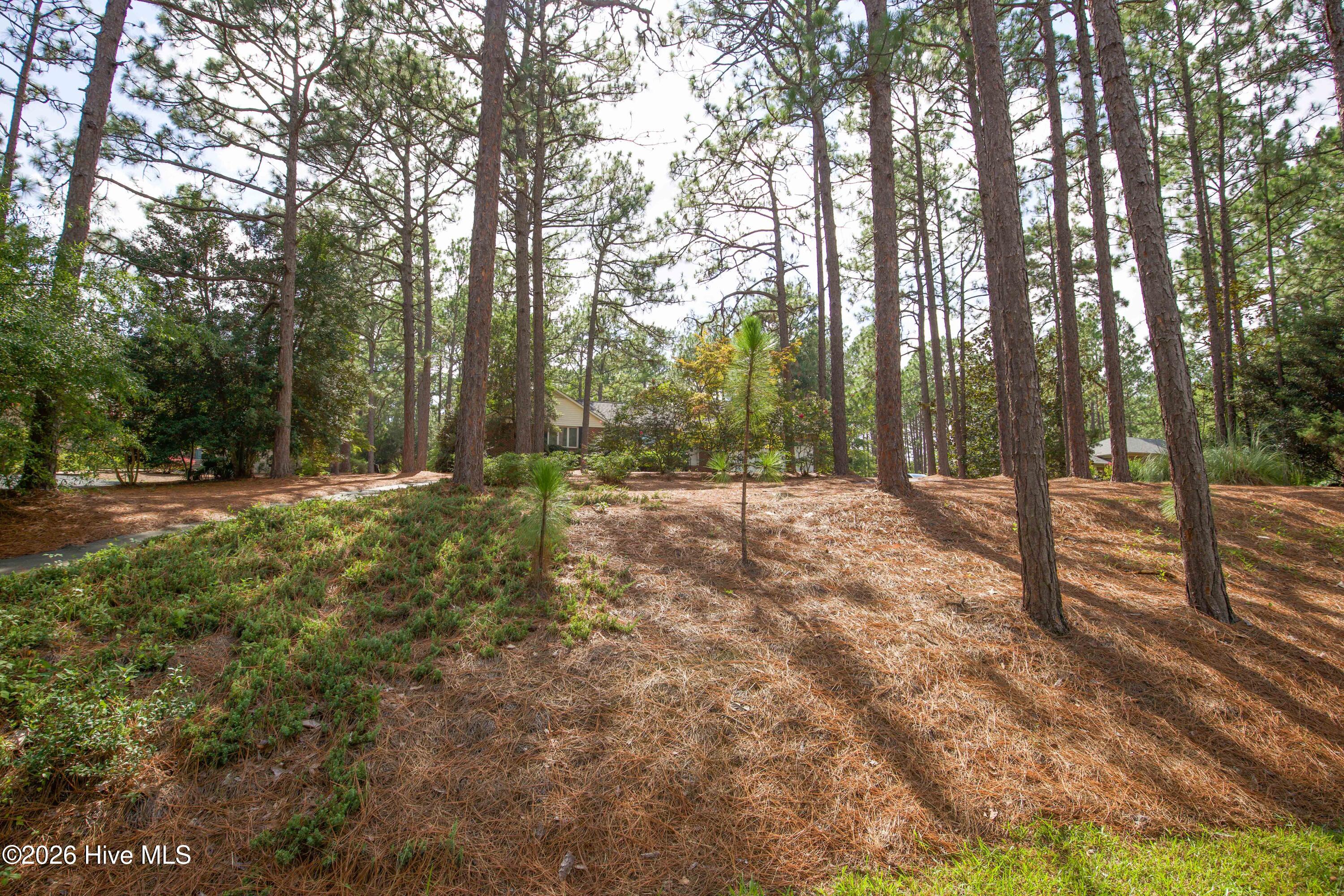 48 Martin Drive Property Photo 3