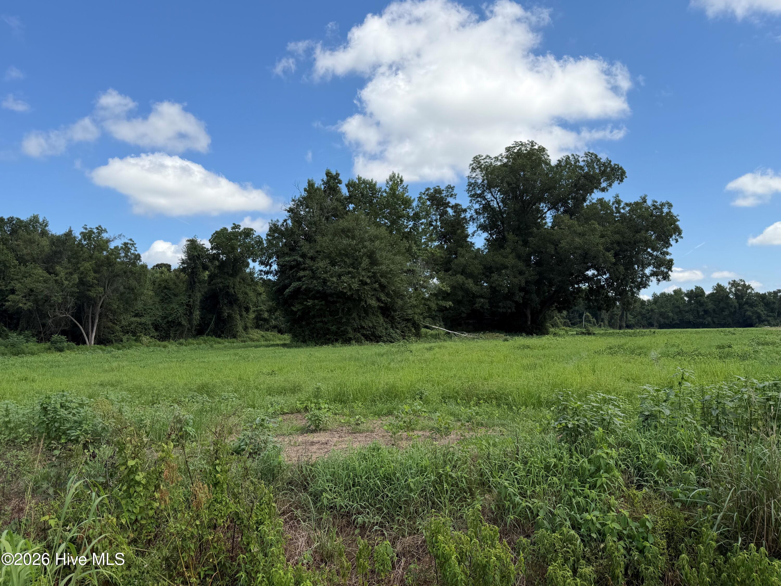 6514 Princess Ann Road Property Photo 2