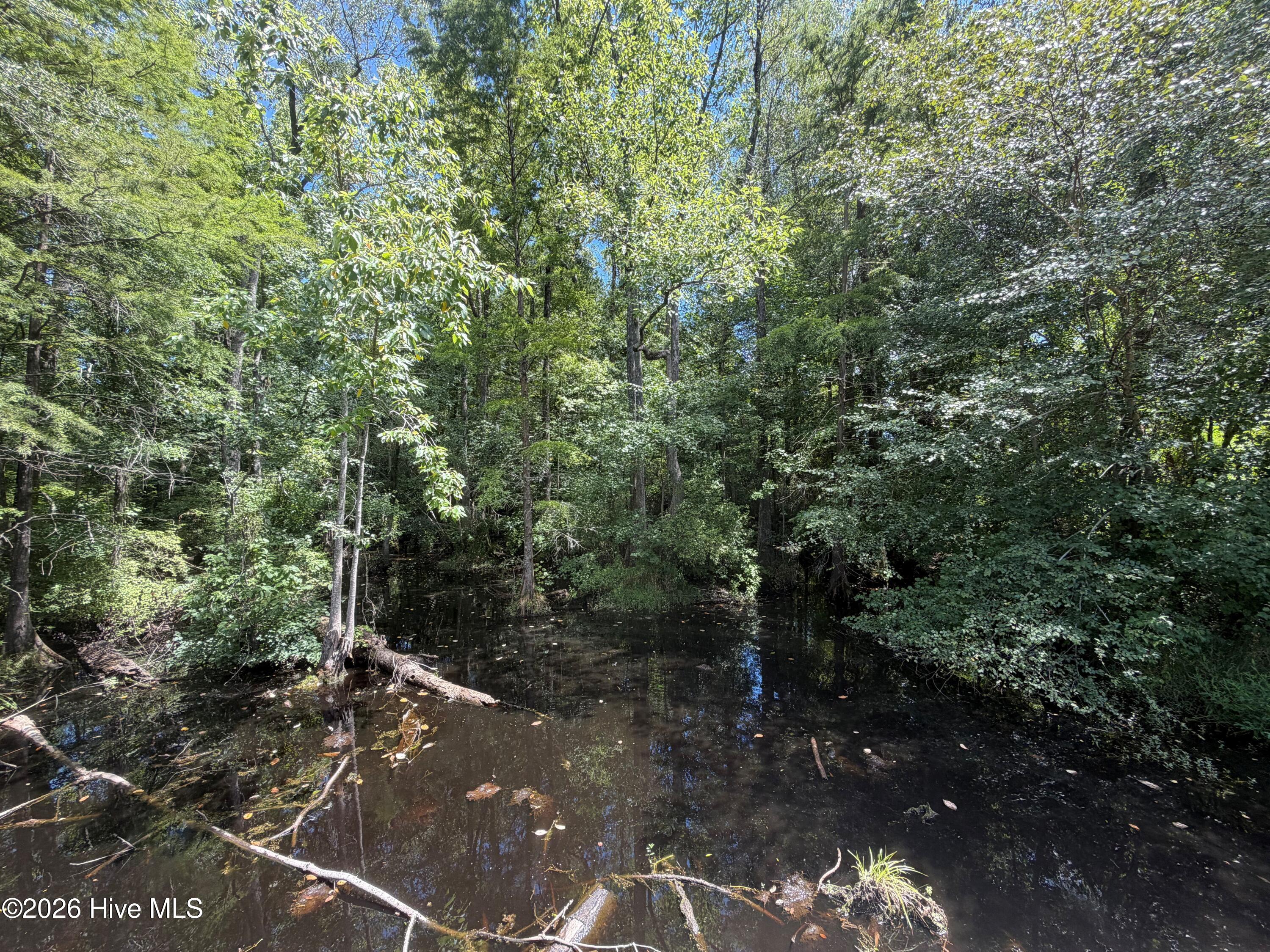 6514 Princess Ann Road Property Photo 5