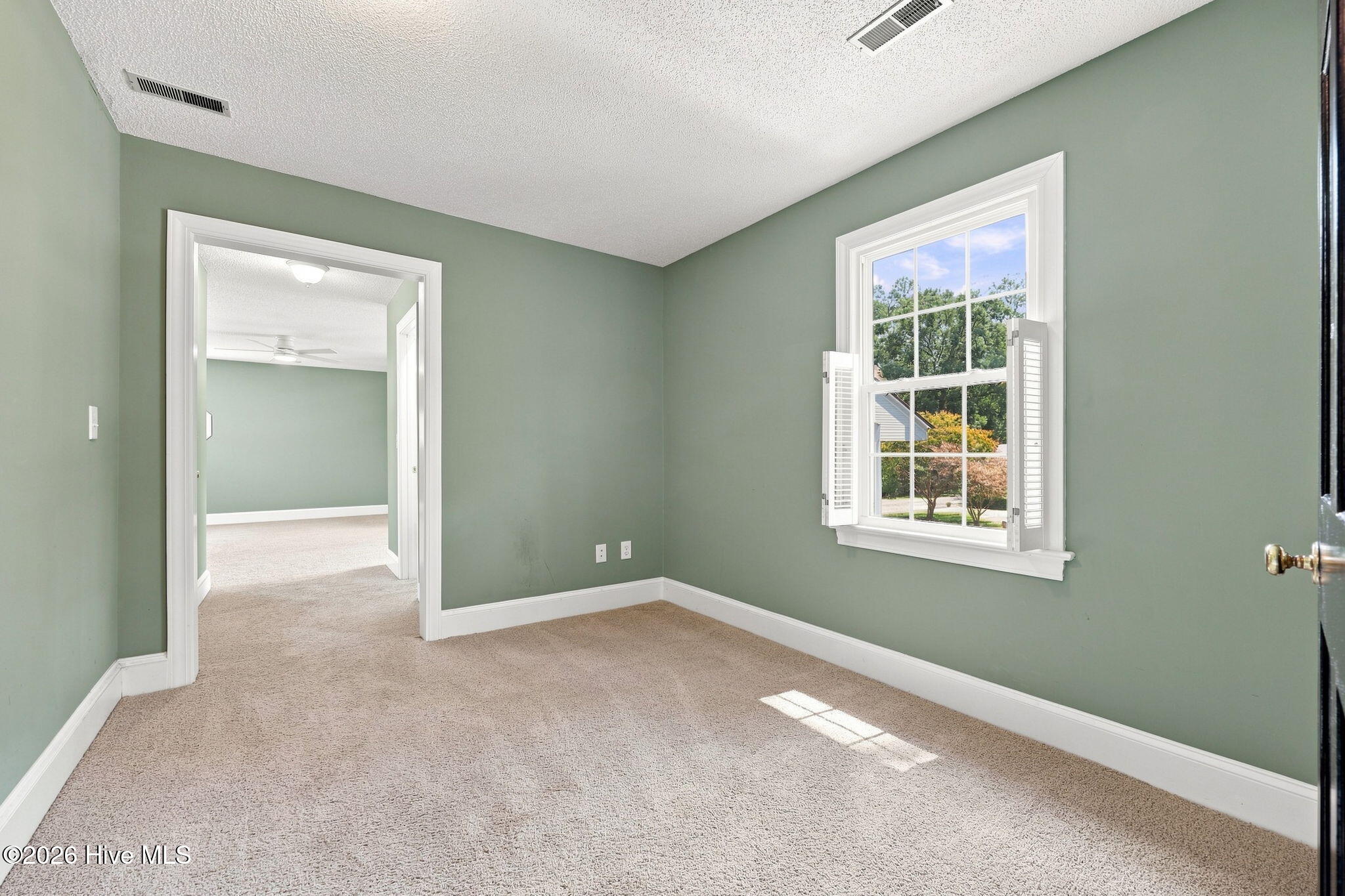 1303 Sonata Street Property Photo 26