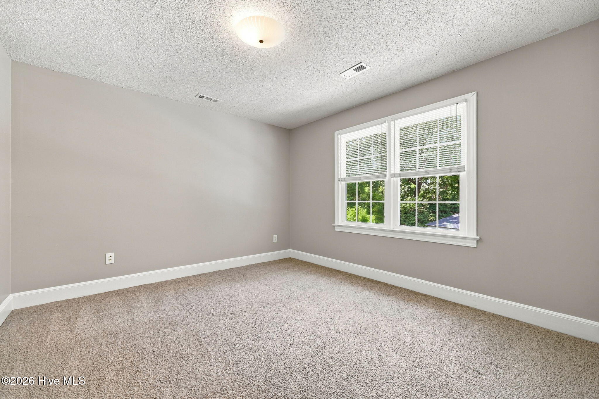1303 Sonata Street Property Photo 39