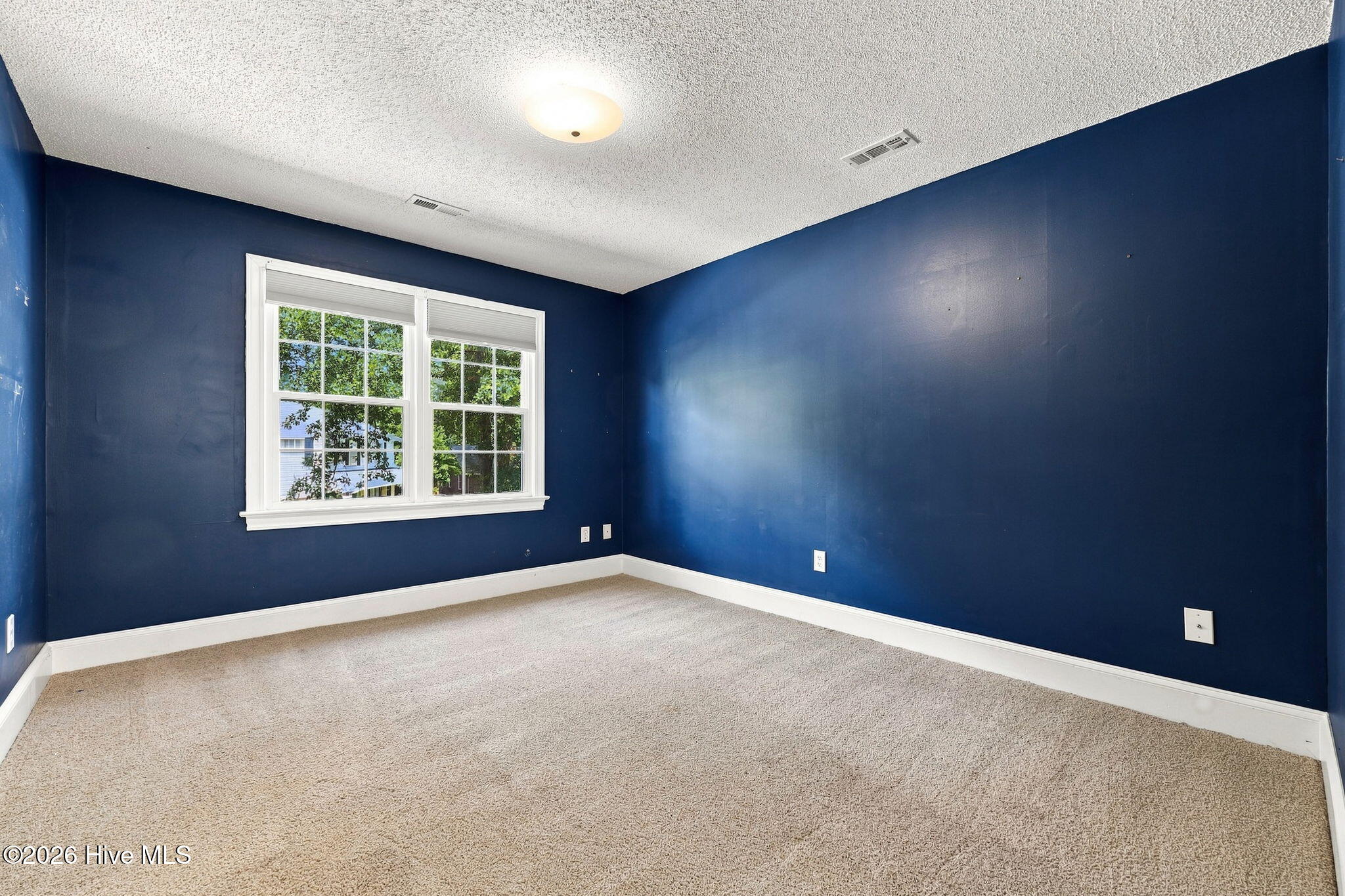 1303 Sonata Street Property Photo 41