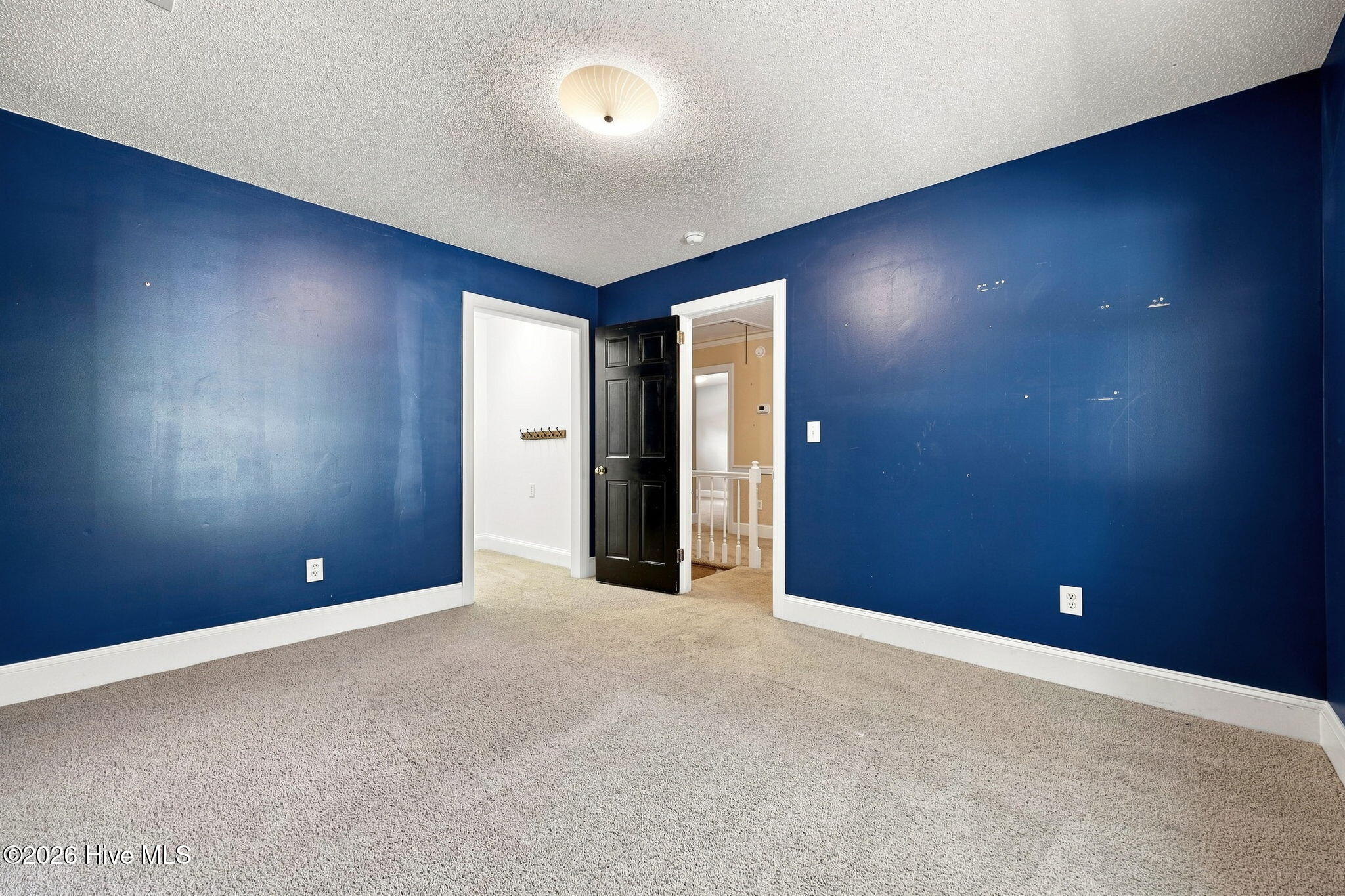 1303 Sonata Street Property Photo 42