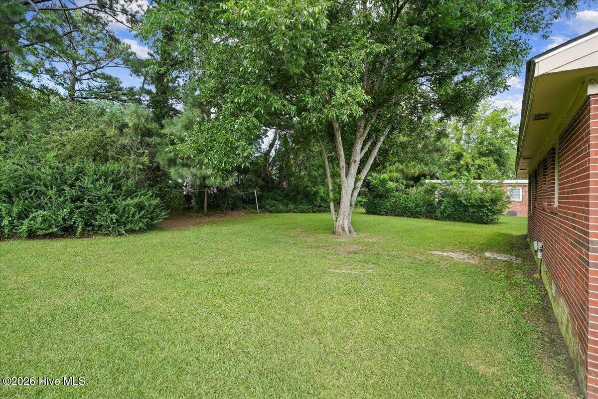 205 Bunche Drive Property Photo 10