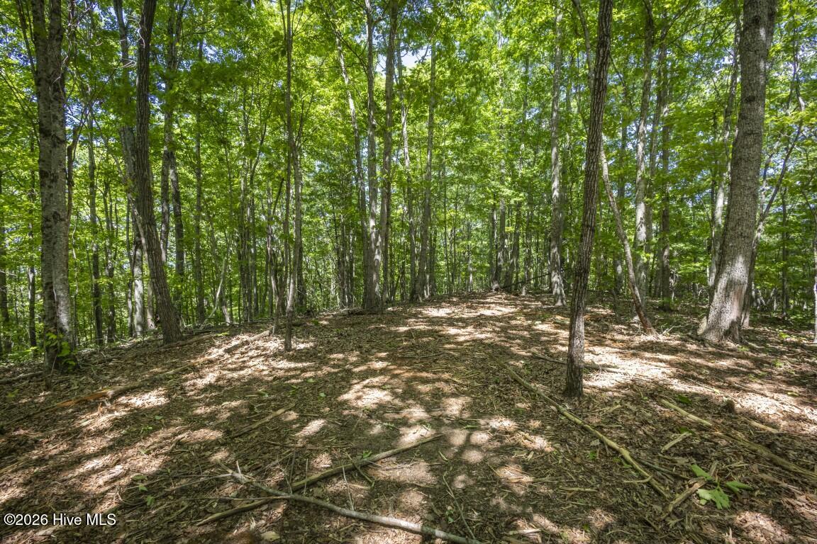 34 Ac Donley Road Property Photo 13
