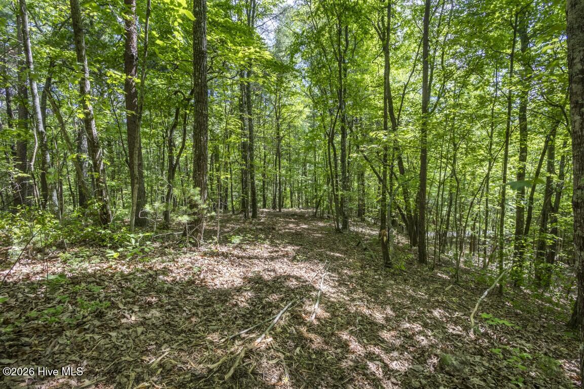 34 Ac Donley Road Property Photo 14