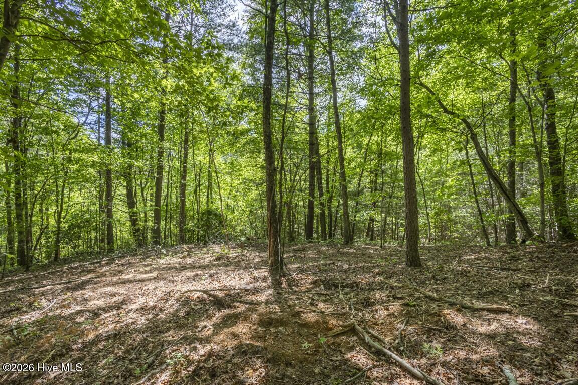 34 Ac Donley Road Property Photo 15