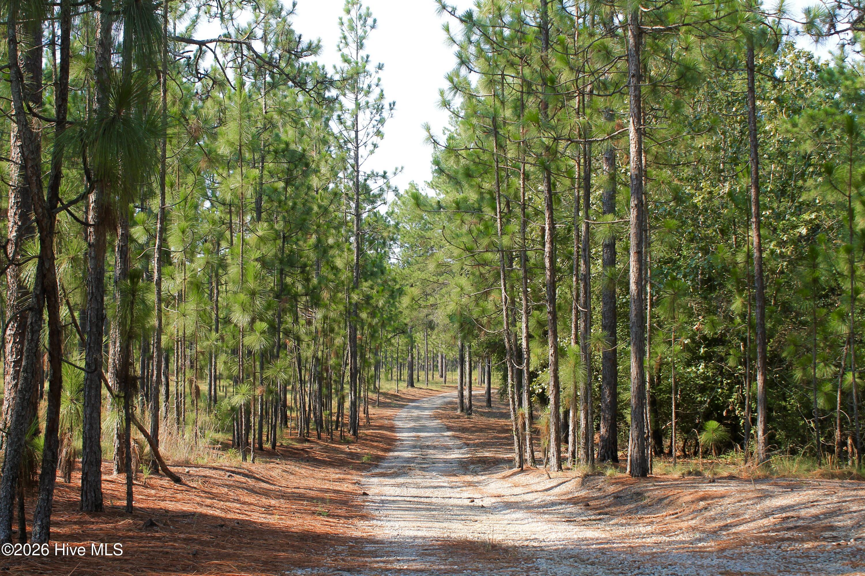 300 Keith Lane Property Photo 15