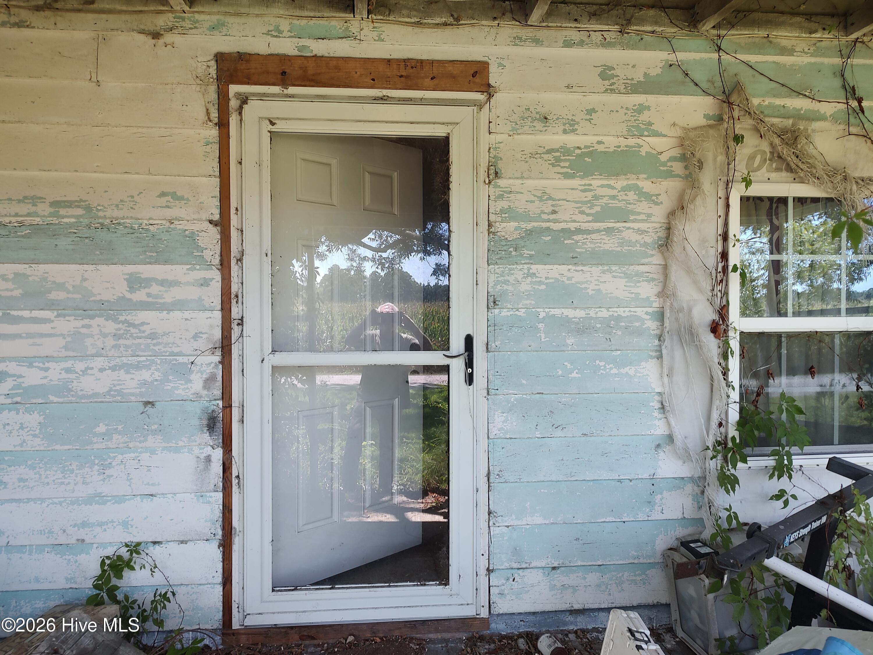 81 Griggs Road Property Photo 3