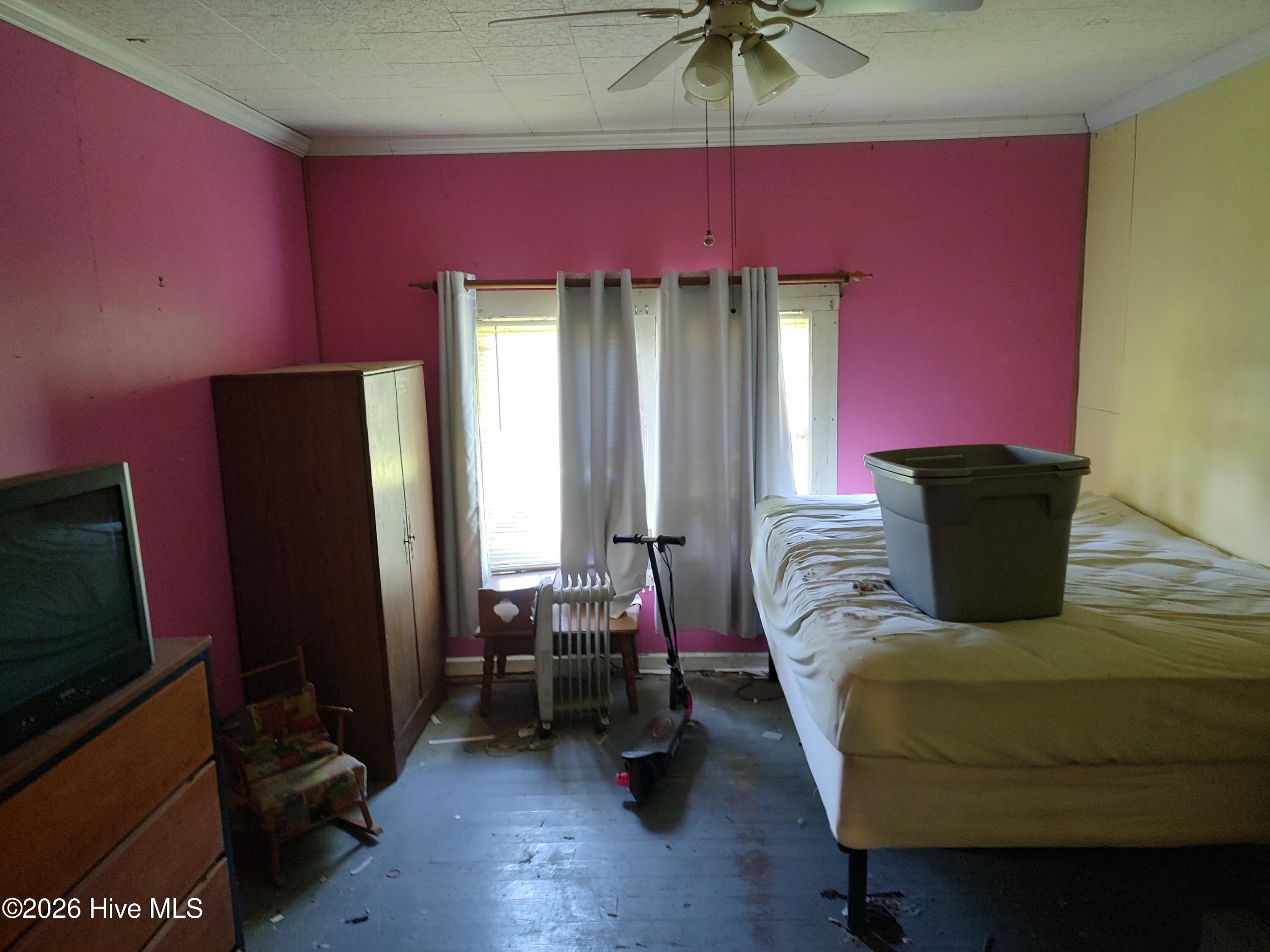 81 Griggs Road Property Photo 4