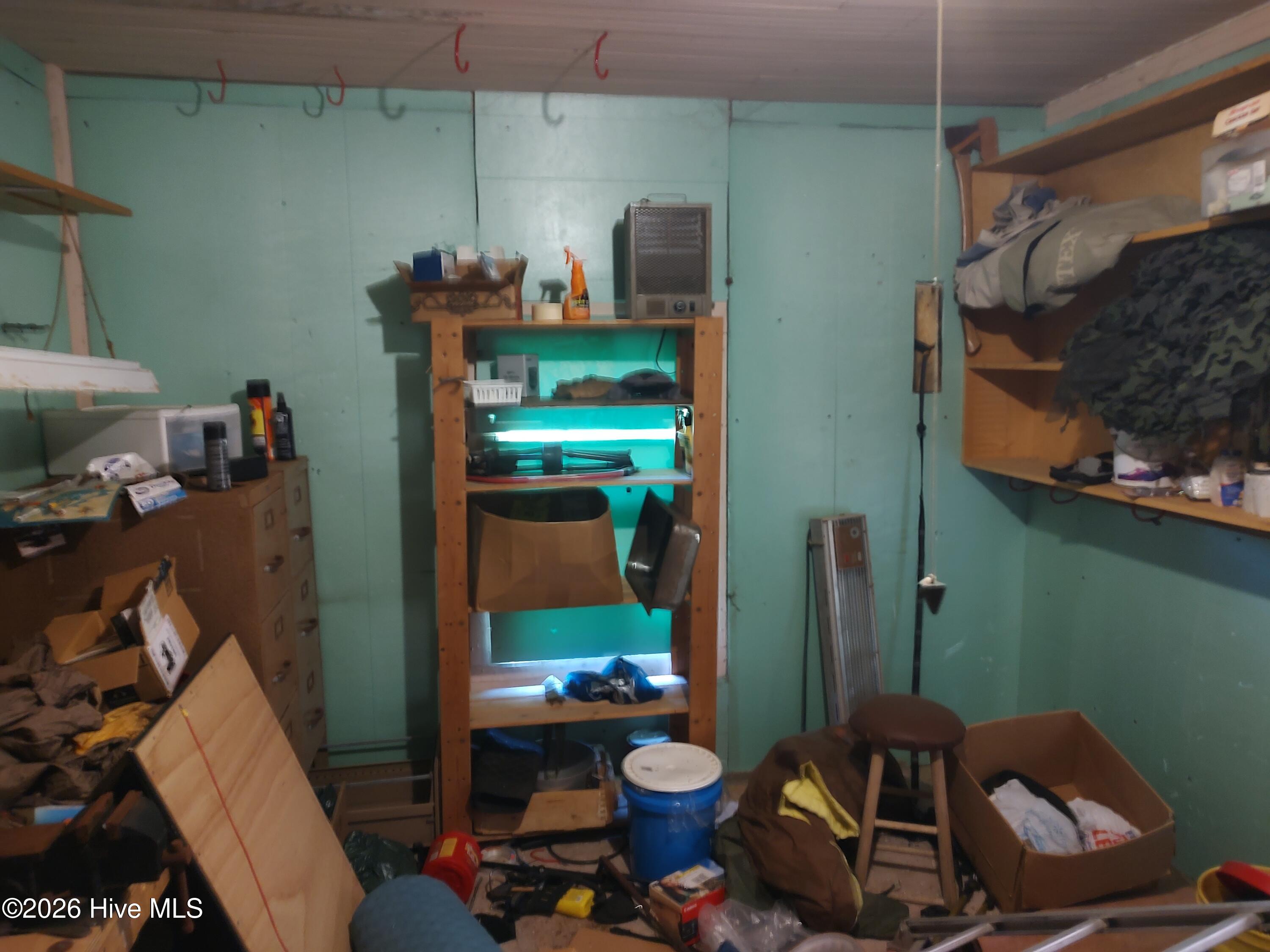 81 Griggs Road Property Photo 5