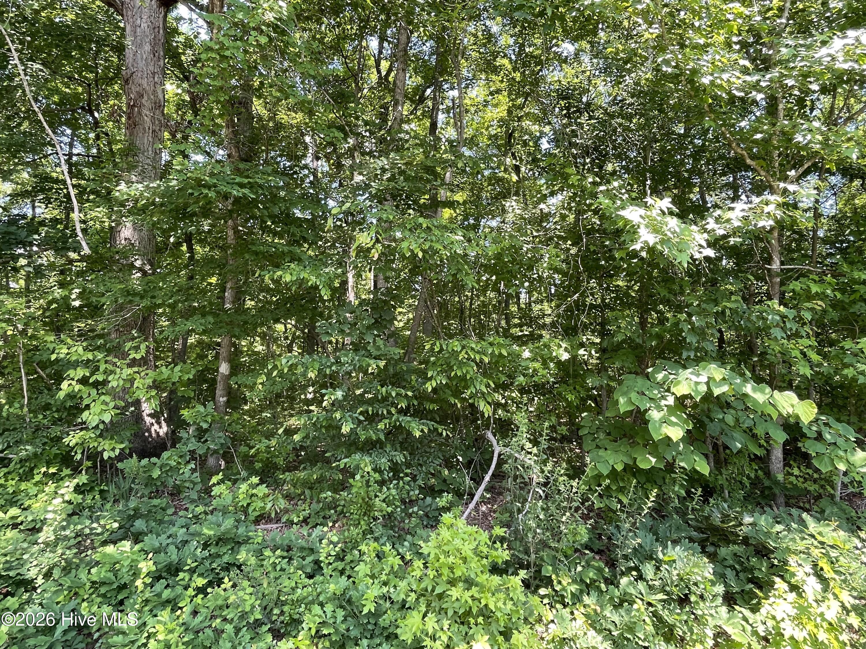 2 Shady Lane Property Photo 2