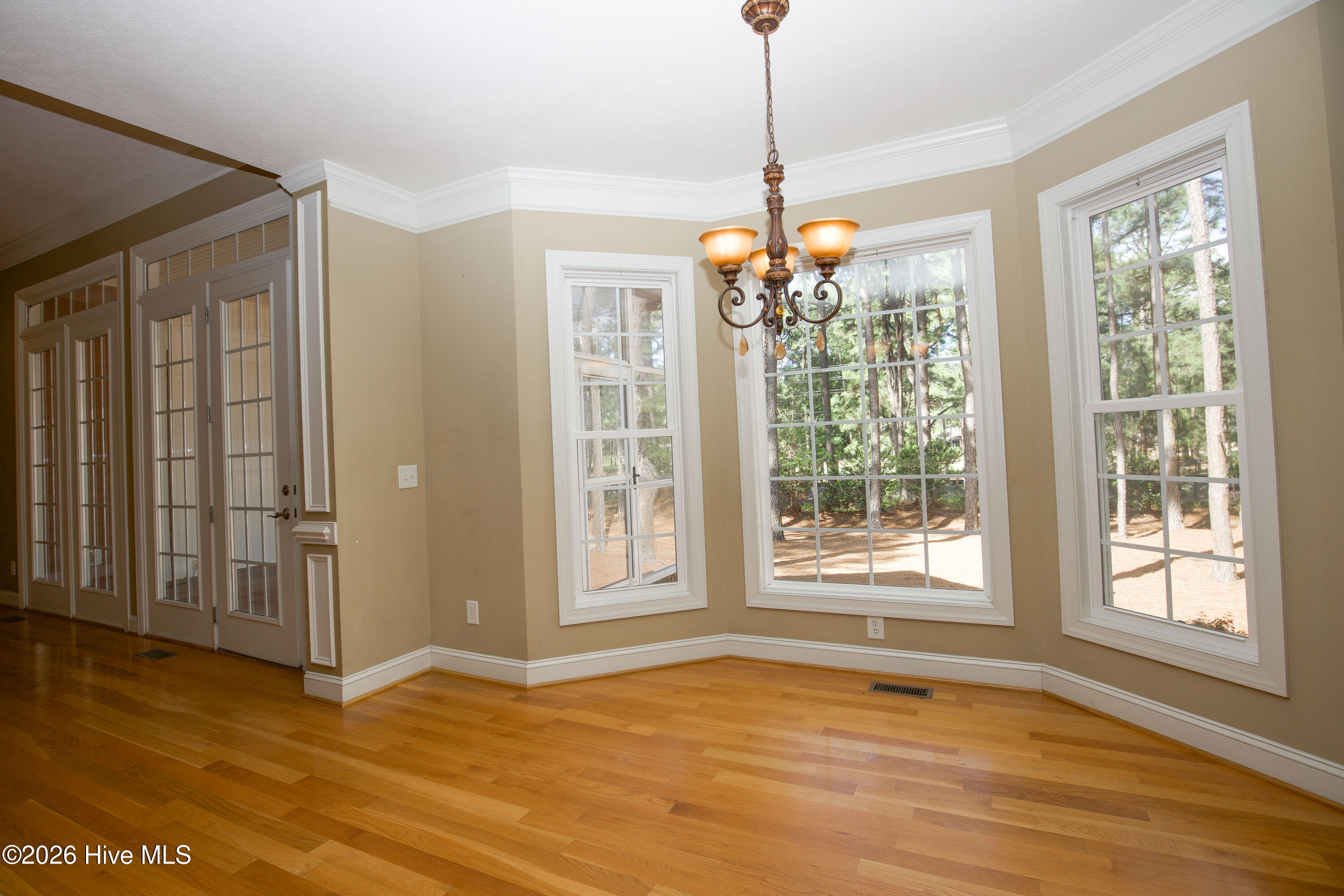 16 Montrose Court Property Photo 45