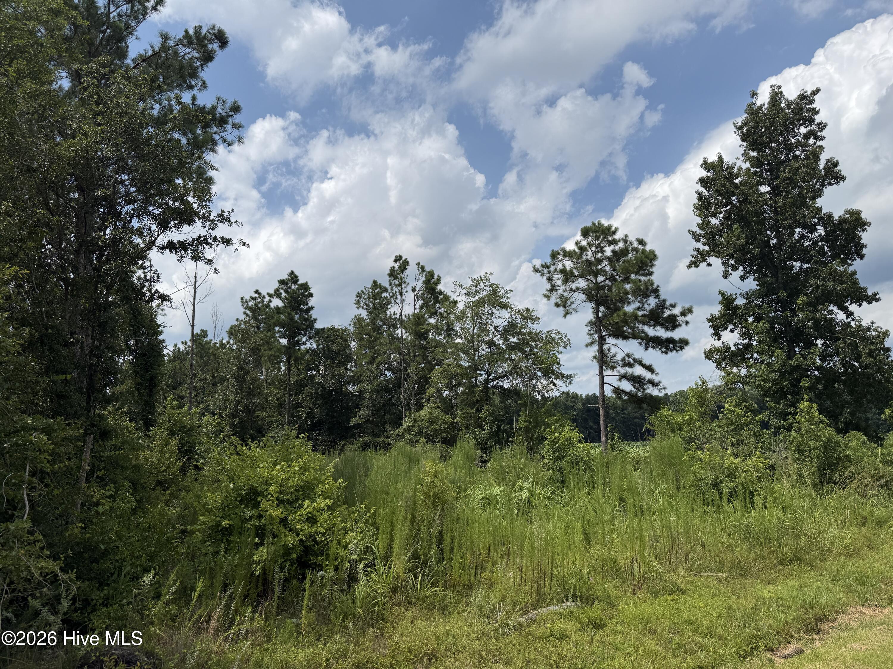 0 Stilley Town Road Property Photo 10