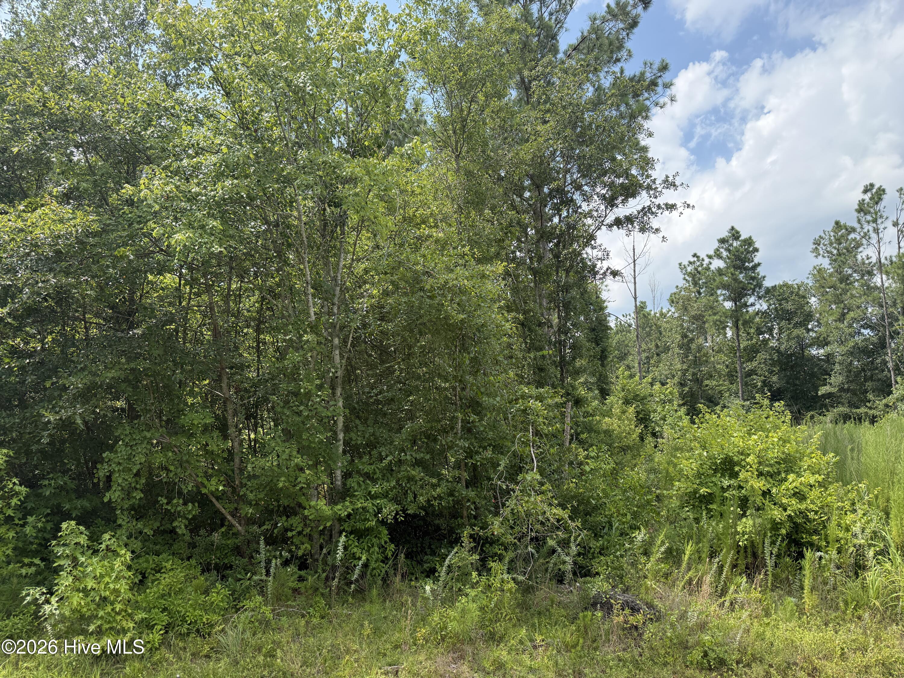 0 Stilley Town Road Property Photo 11