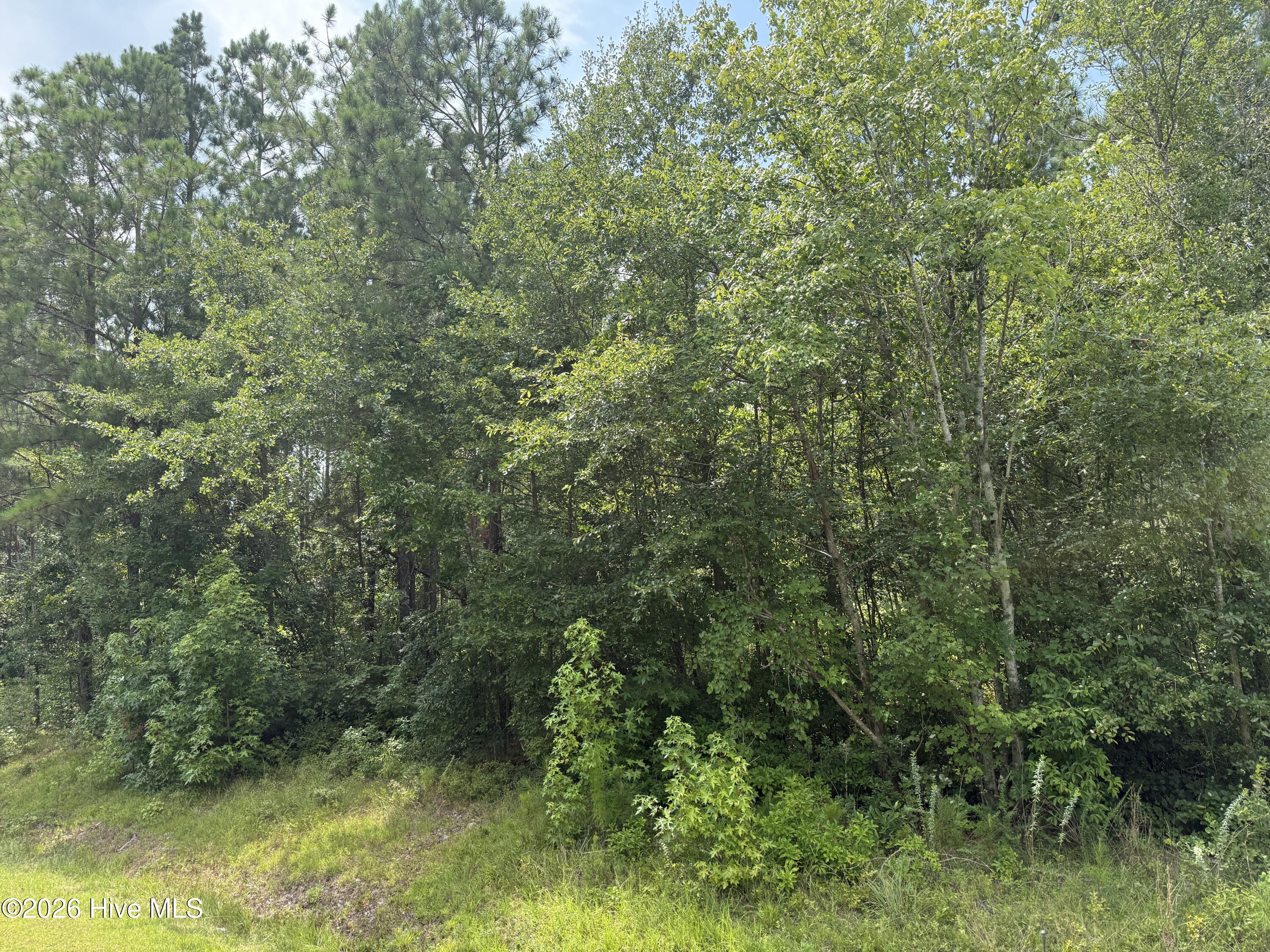 0 Stilley Town Road Property Photo 12