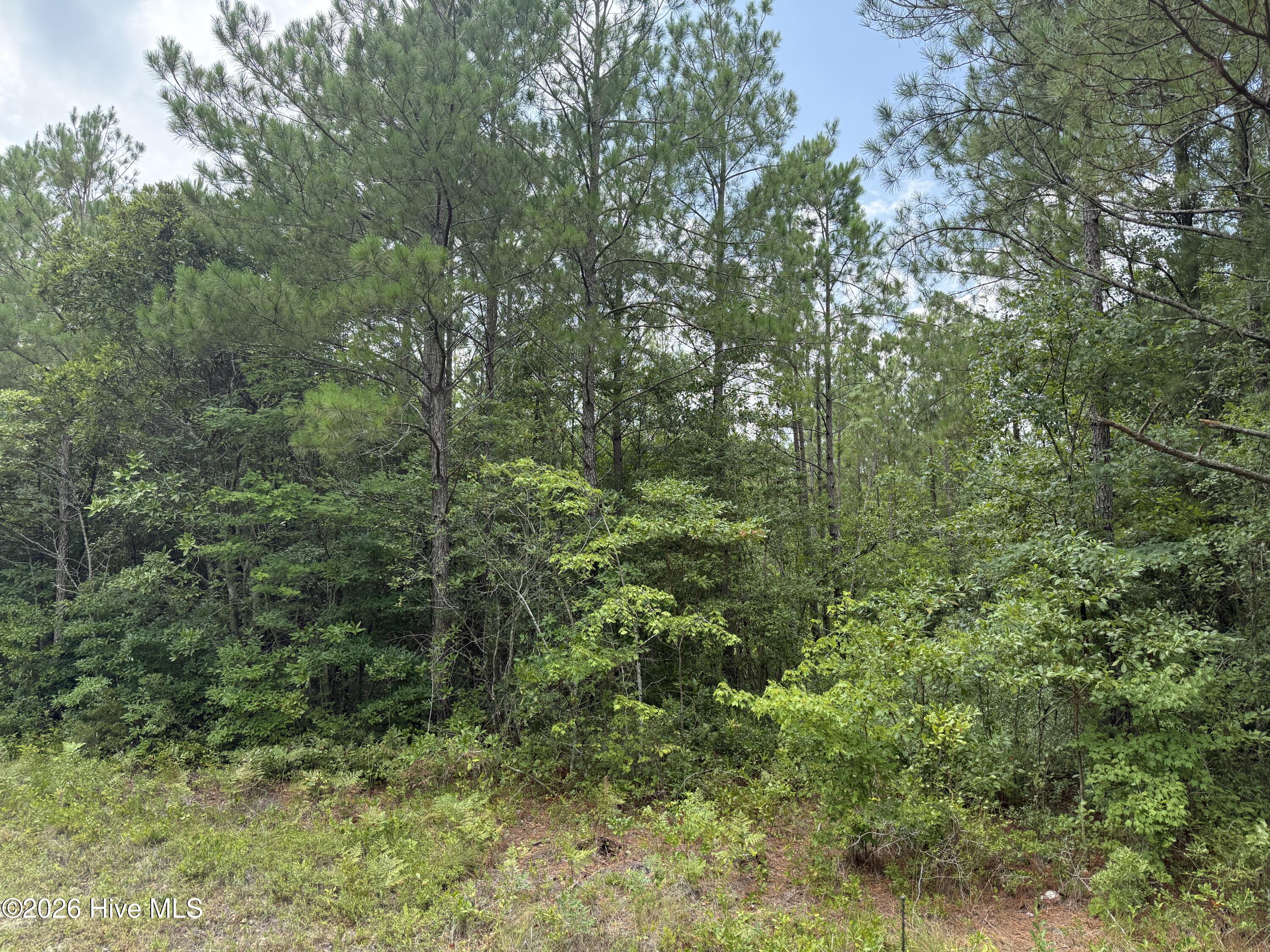 0 Stilley Town Road Property Photo 15