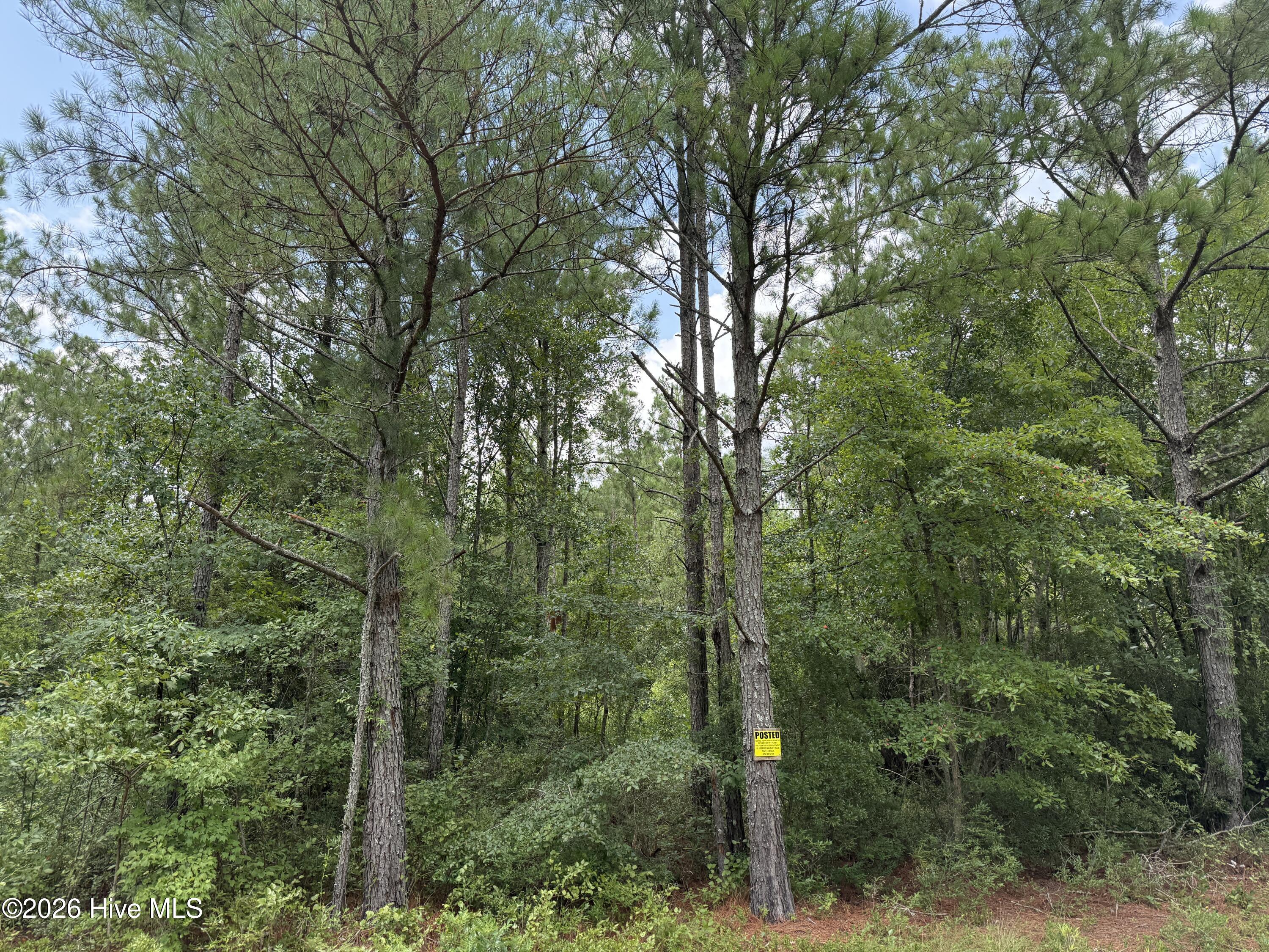0 Stilley Town Road Property Photo 16