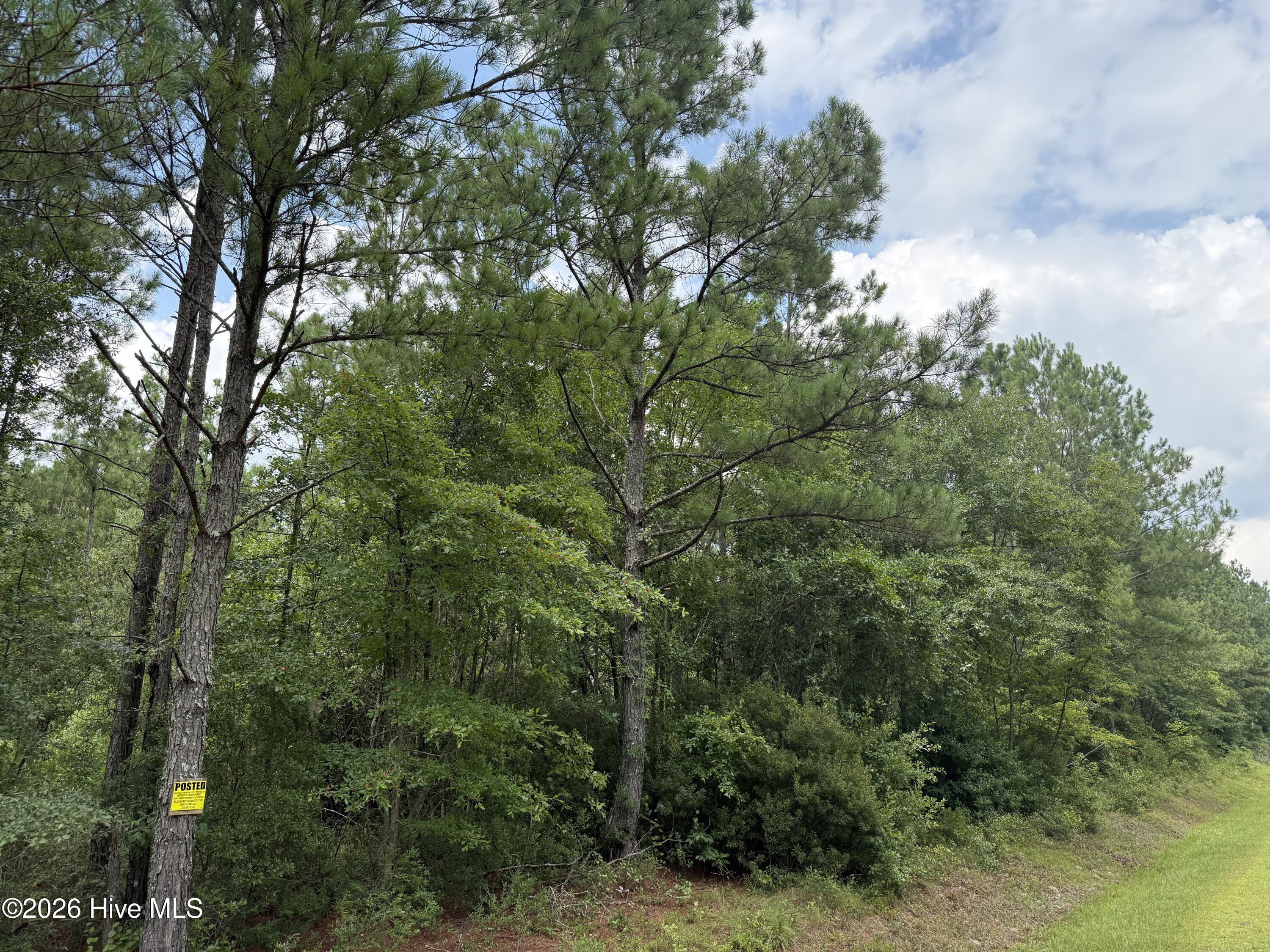 0 Stilley Town Road Property Photo 17