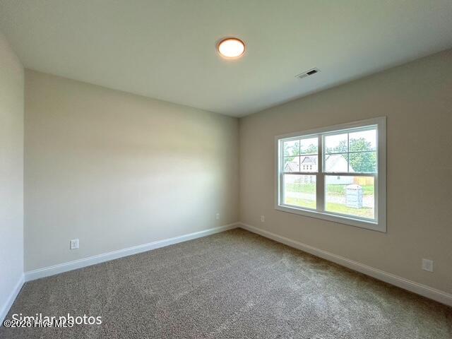 303 Wrenview Court Property Photo 30