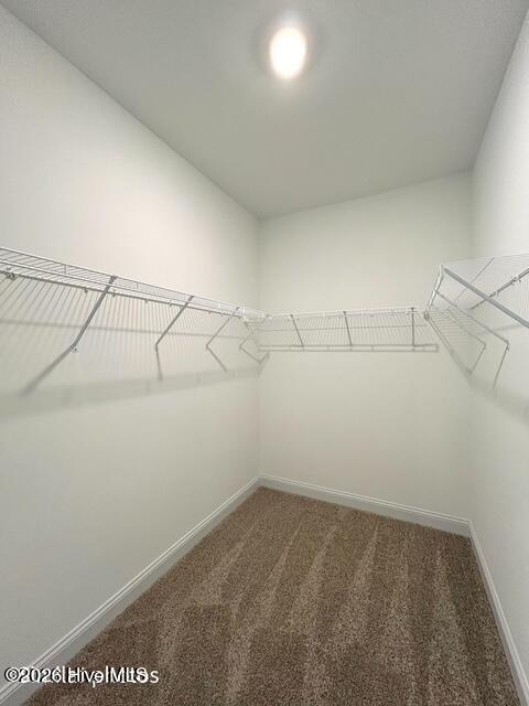 303 Wrenview Court Property Photo 42