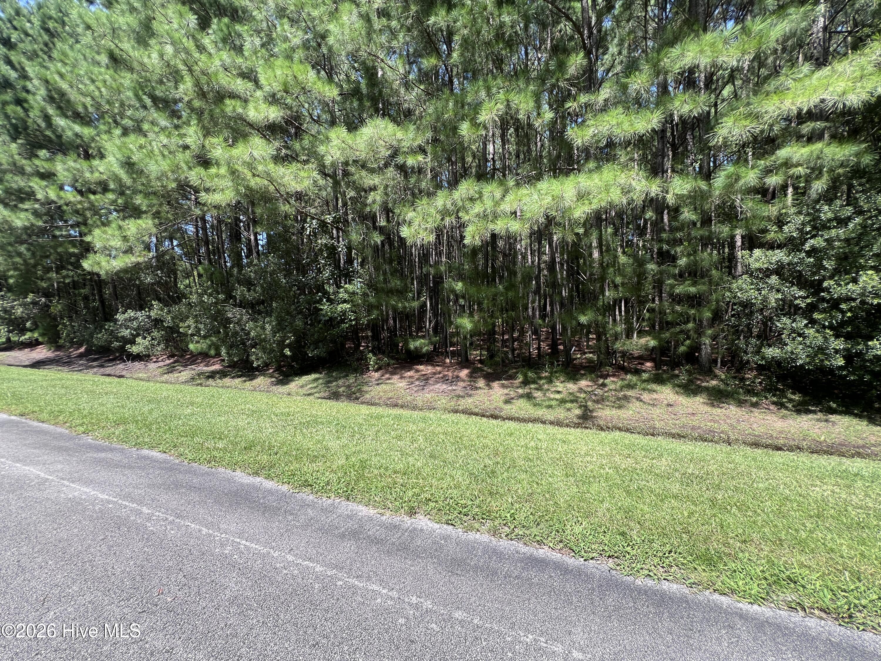 Lot#43 Property Photo 2