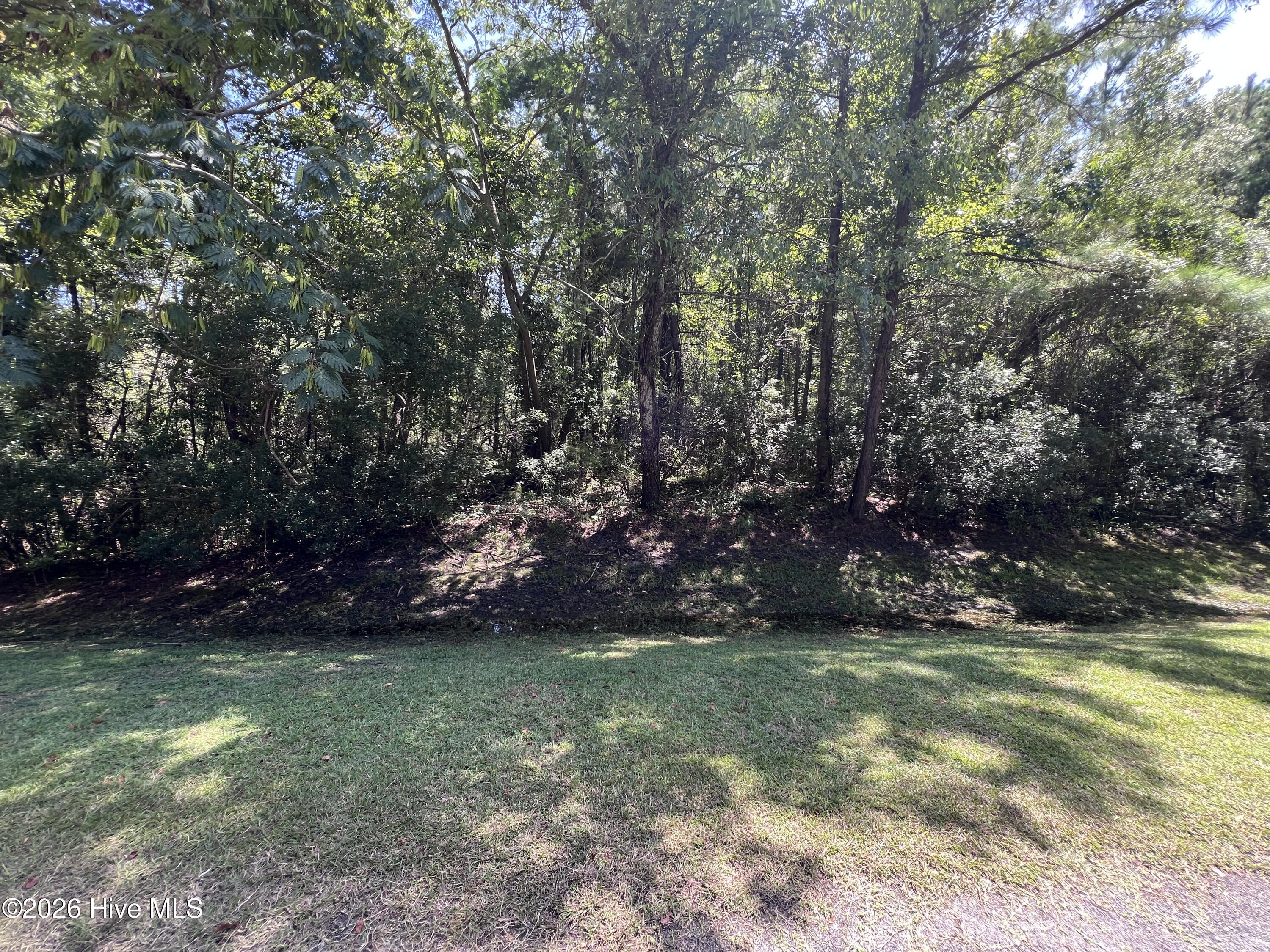 Lot#43 Property Photo 4