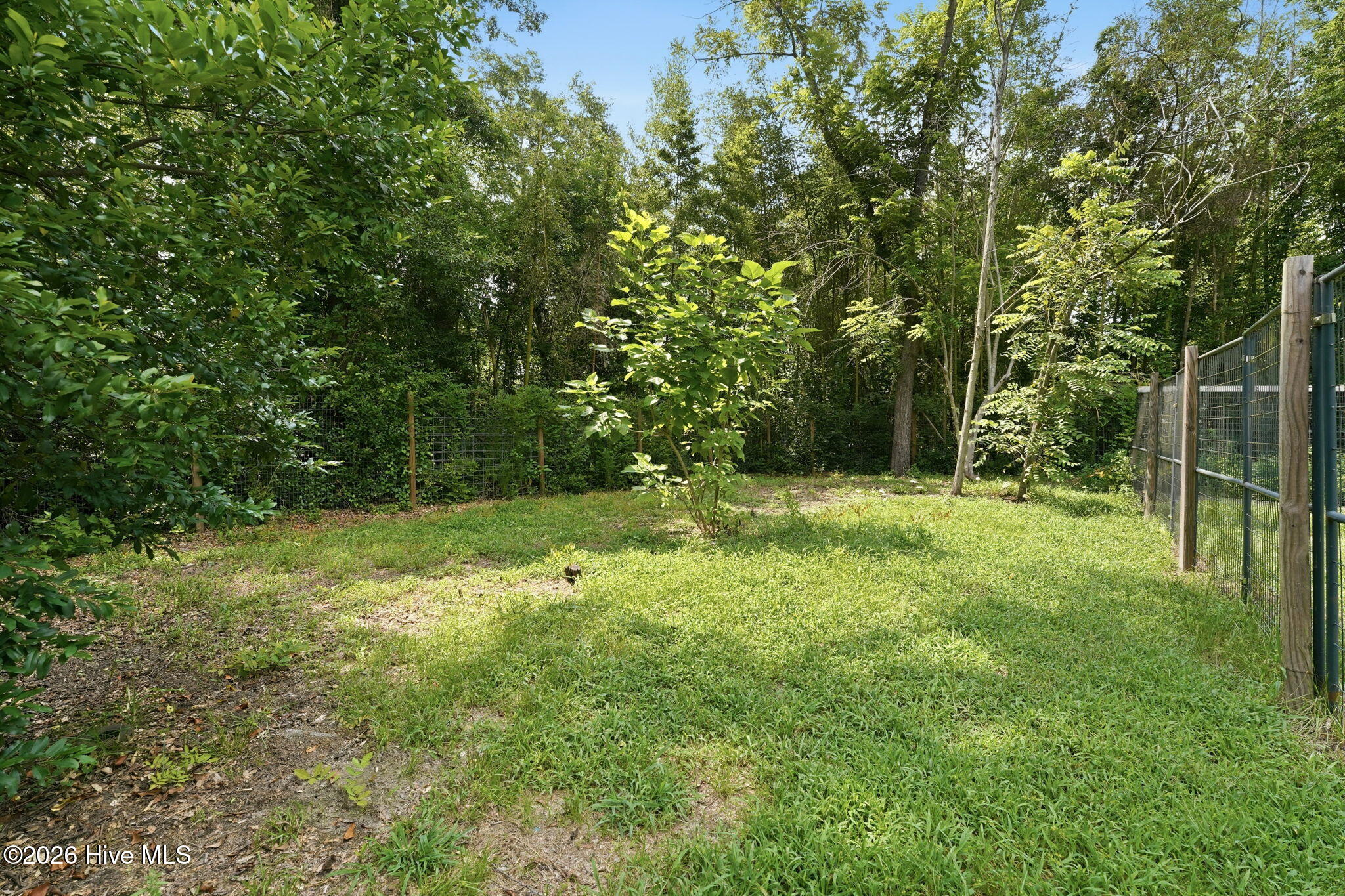 23780 Cotton Street Property Photo 34