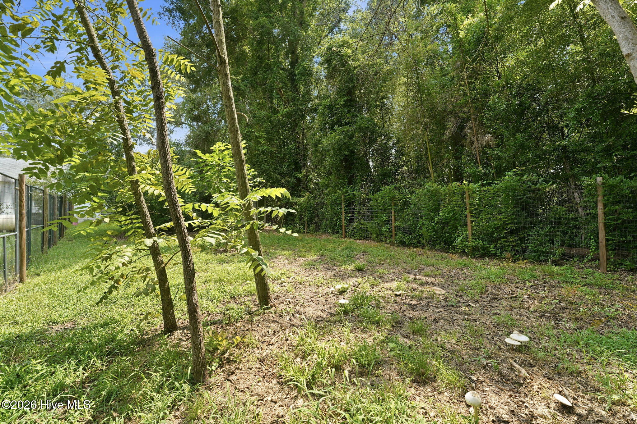 23780 Cotton Street Property Photo 37