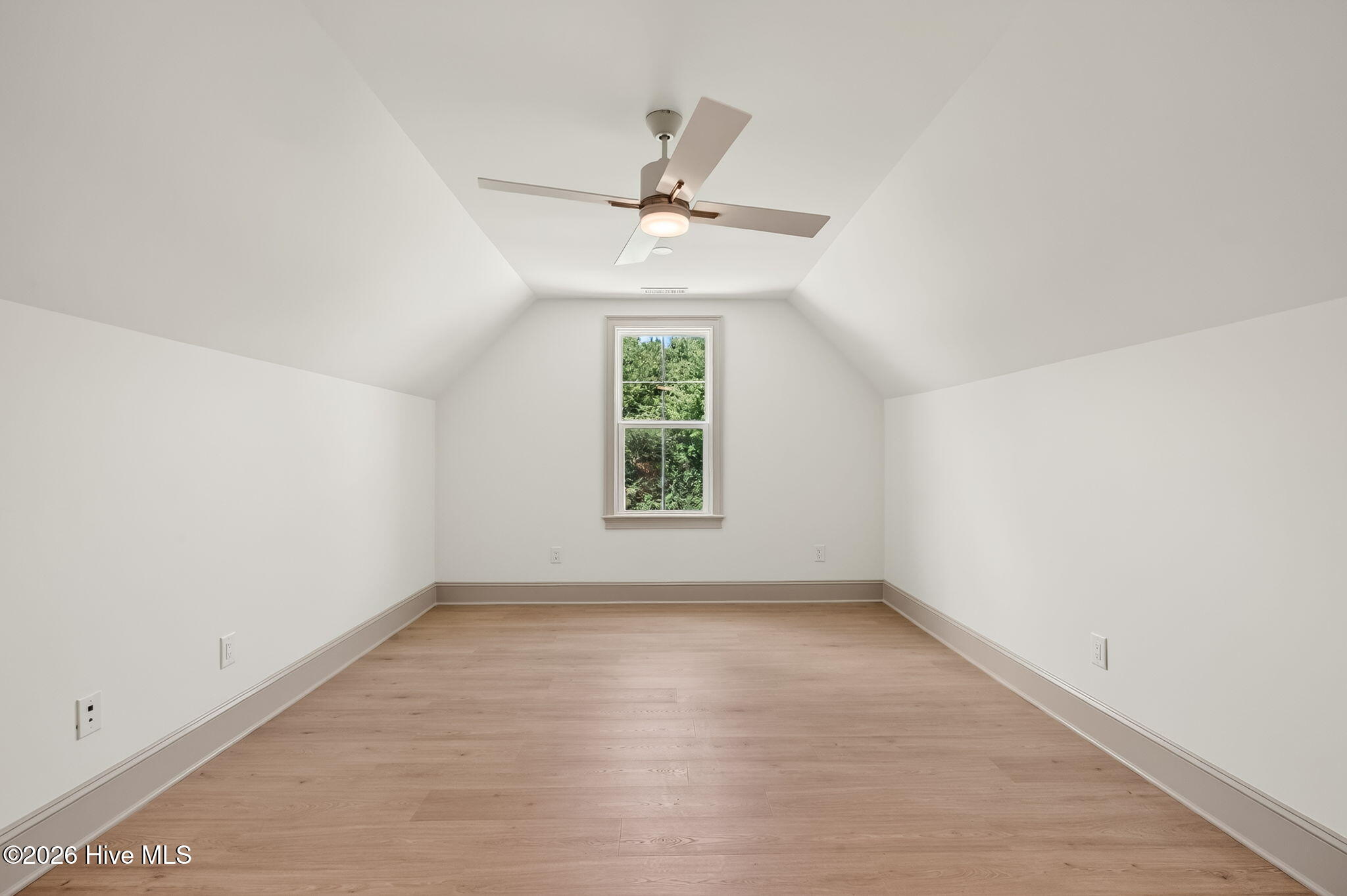 61 Griffin Road Property Photo 39