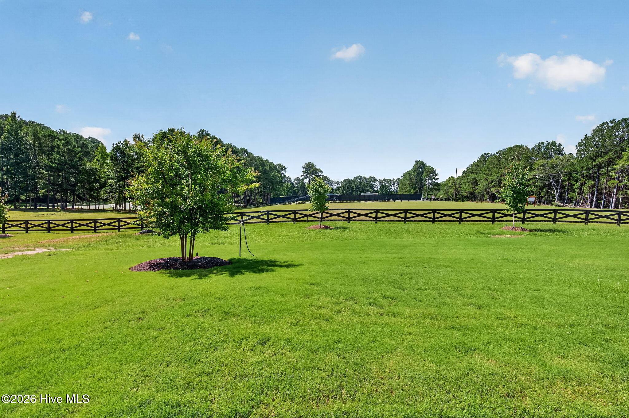 61 Griffin Road Property Photo 49