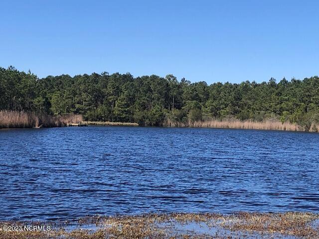 123 85 E Dowry Creek E Property Photo 1
