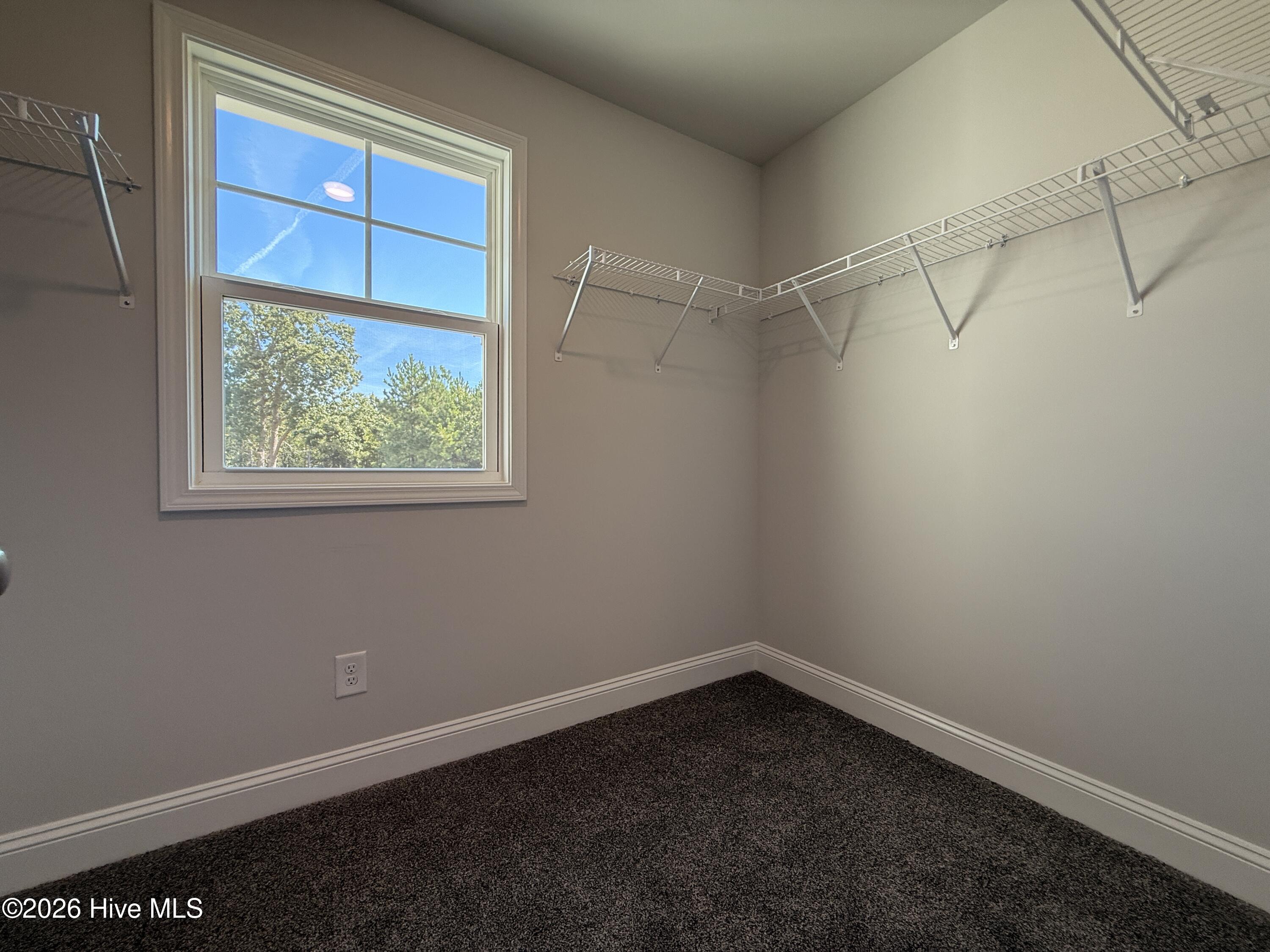 320 One Tree Hill Property Photo 29
