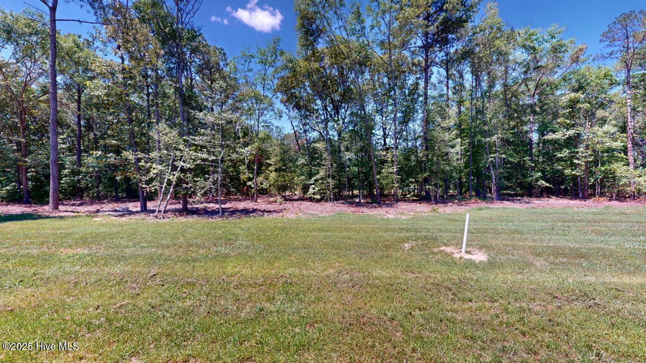 109 Red Maple Place Property Photo 27