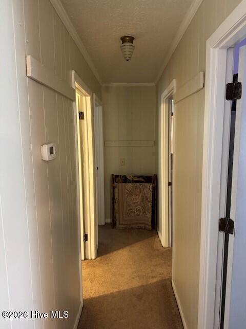 666 Faith Road Property Photo 18