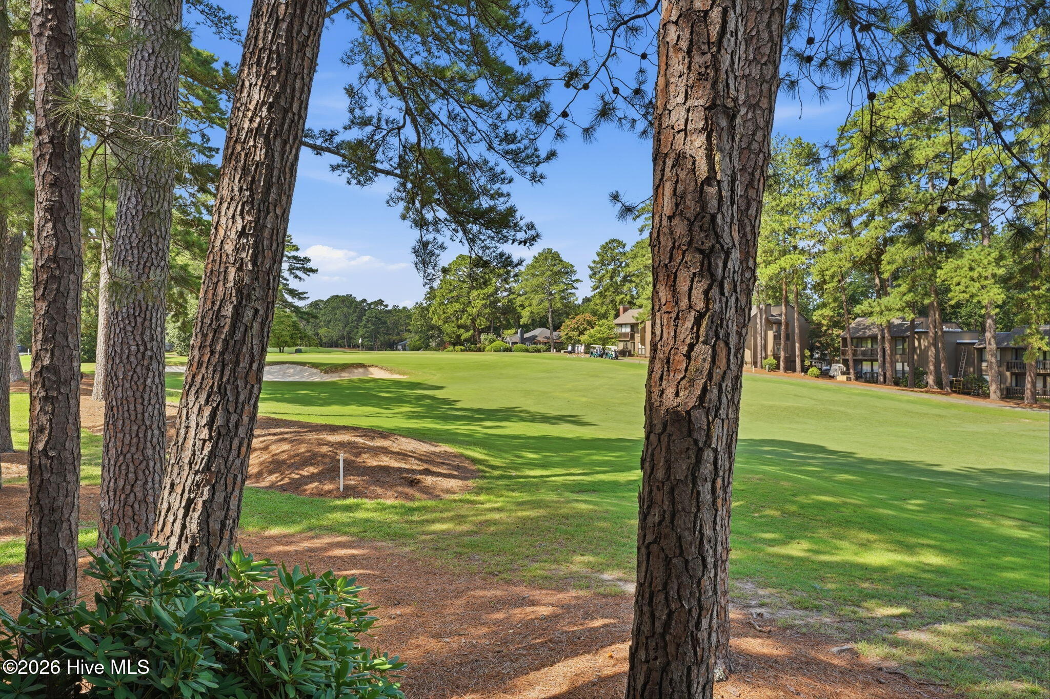 5 Pine Tree Road # 117 Property Photo 45