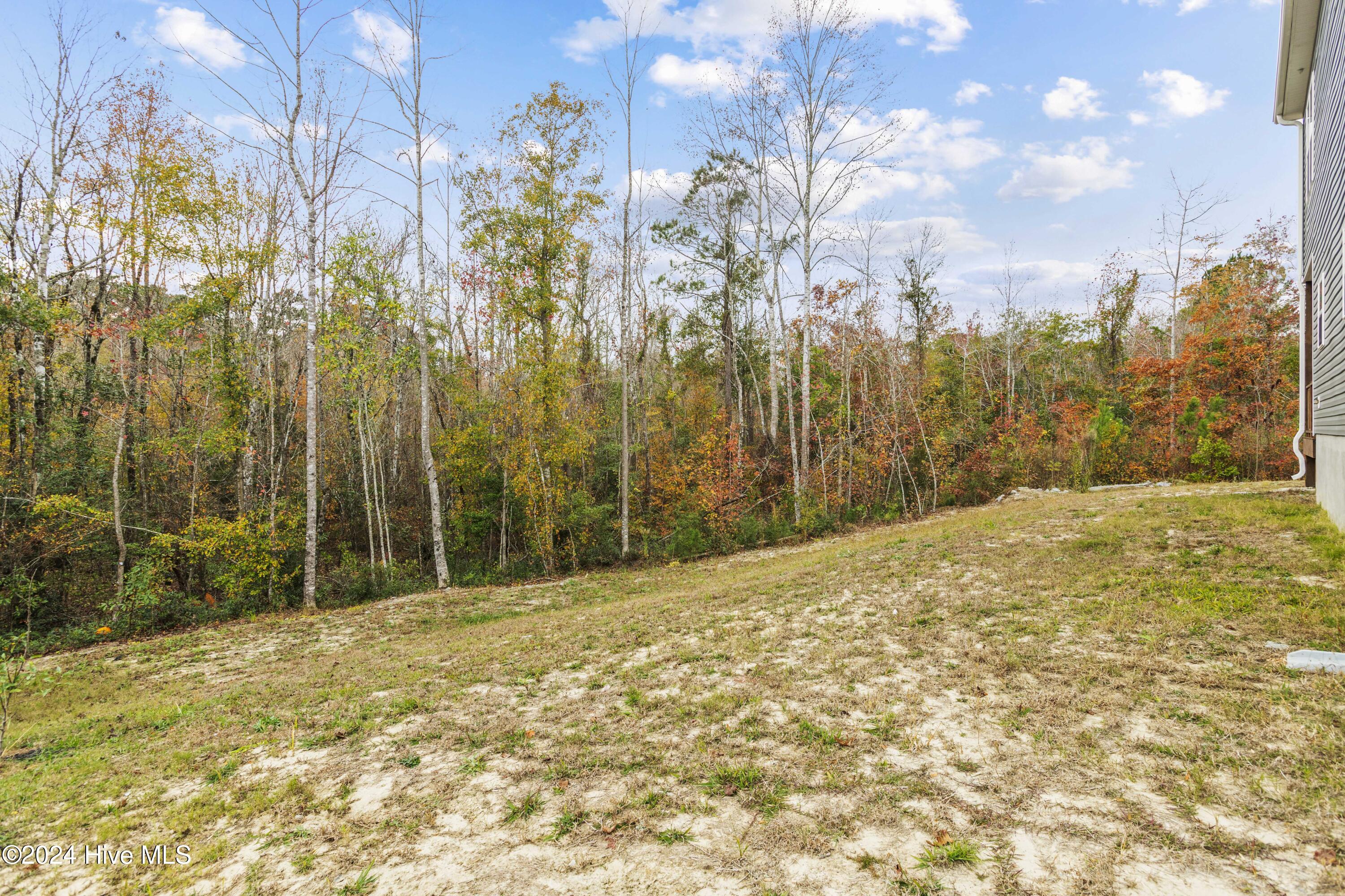 421 Blockade Shoal Lane Property Photo 28