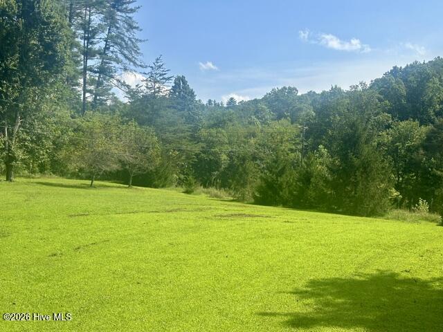 7324 &7320 Highway 294 Property Photo 6
