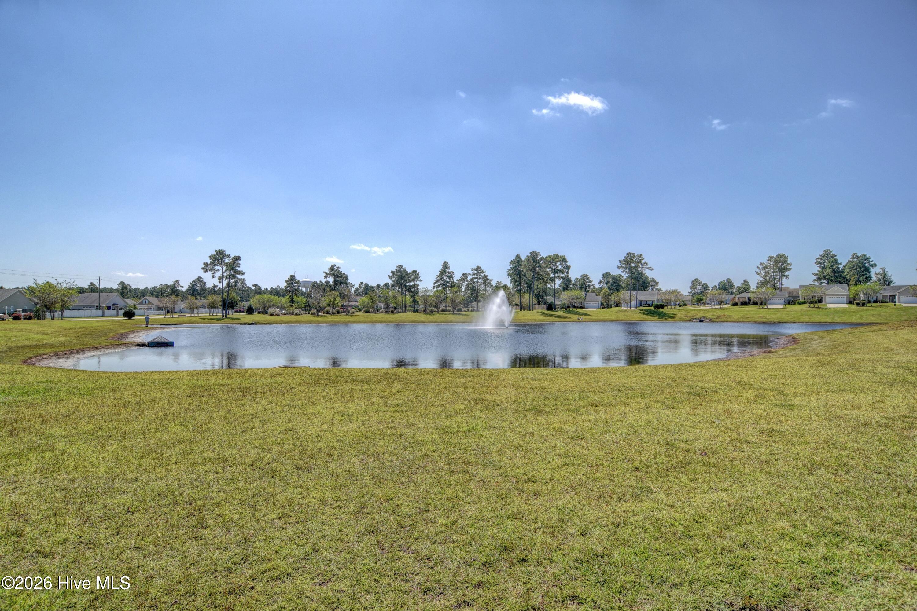 1806 Olive Pine Way Property Photo 41