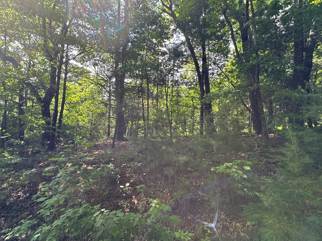 Lot 31 31 Peak Trail Property Photo 4