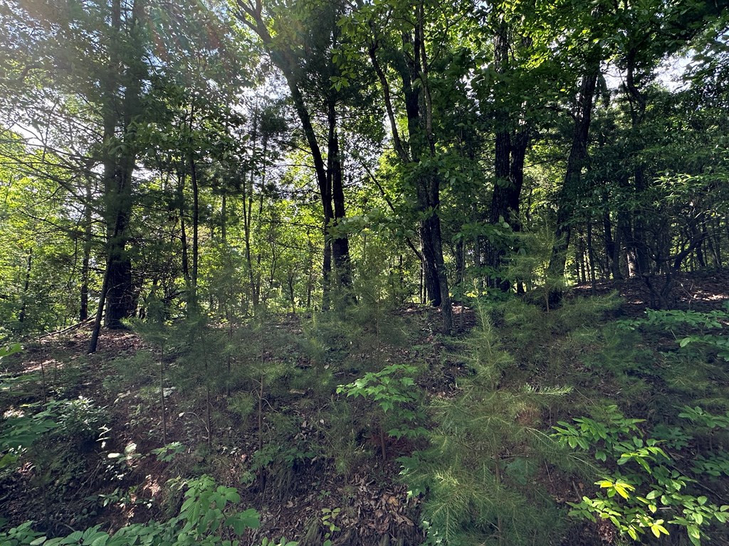 Lot 31 31 Peak Trail Property Photo 6