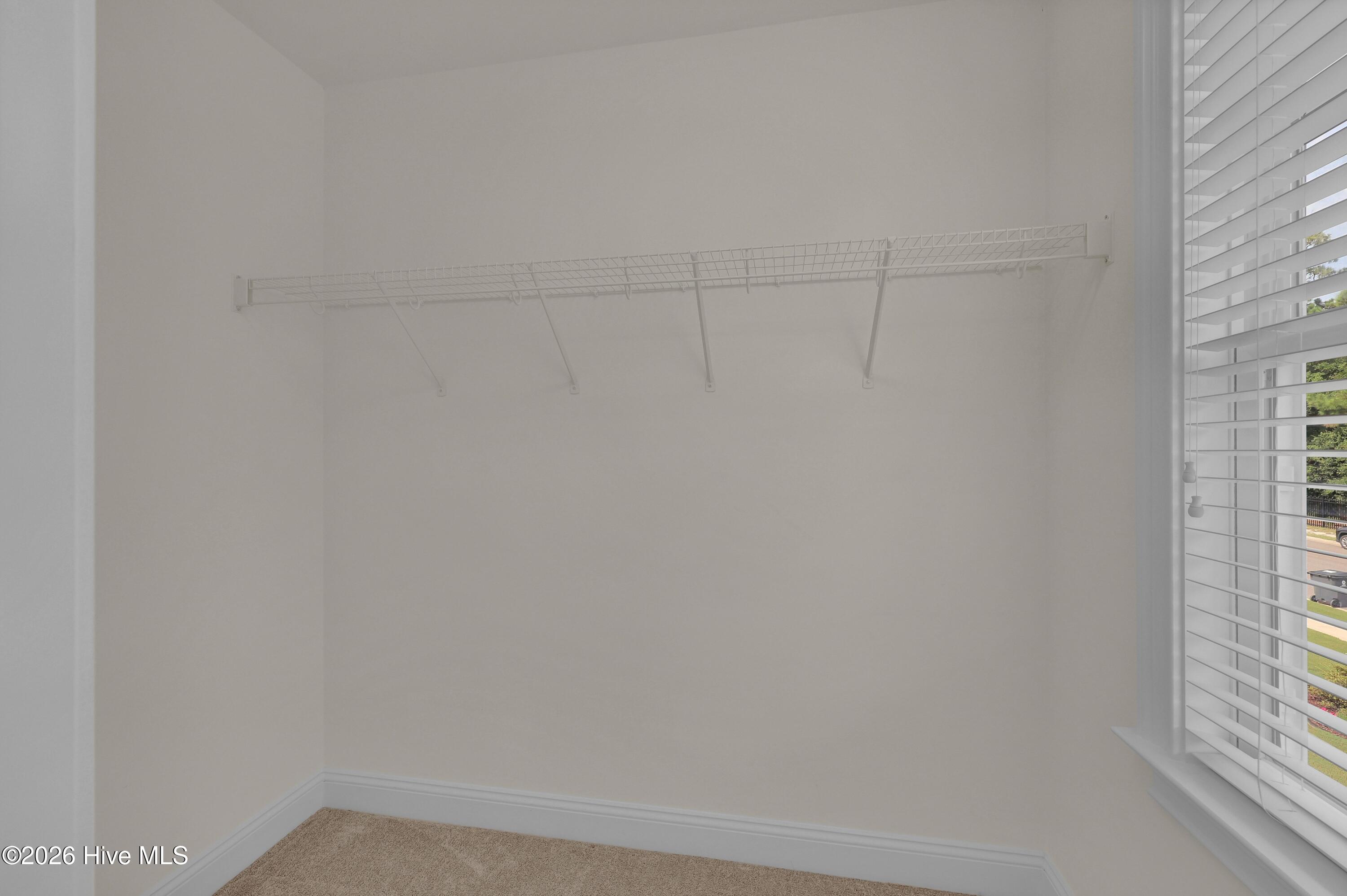 1037 Pandion Drive Property Photo 37