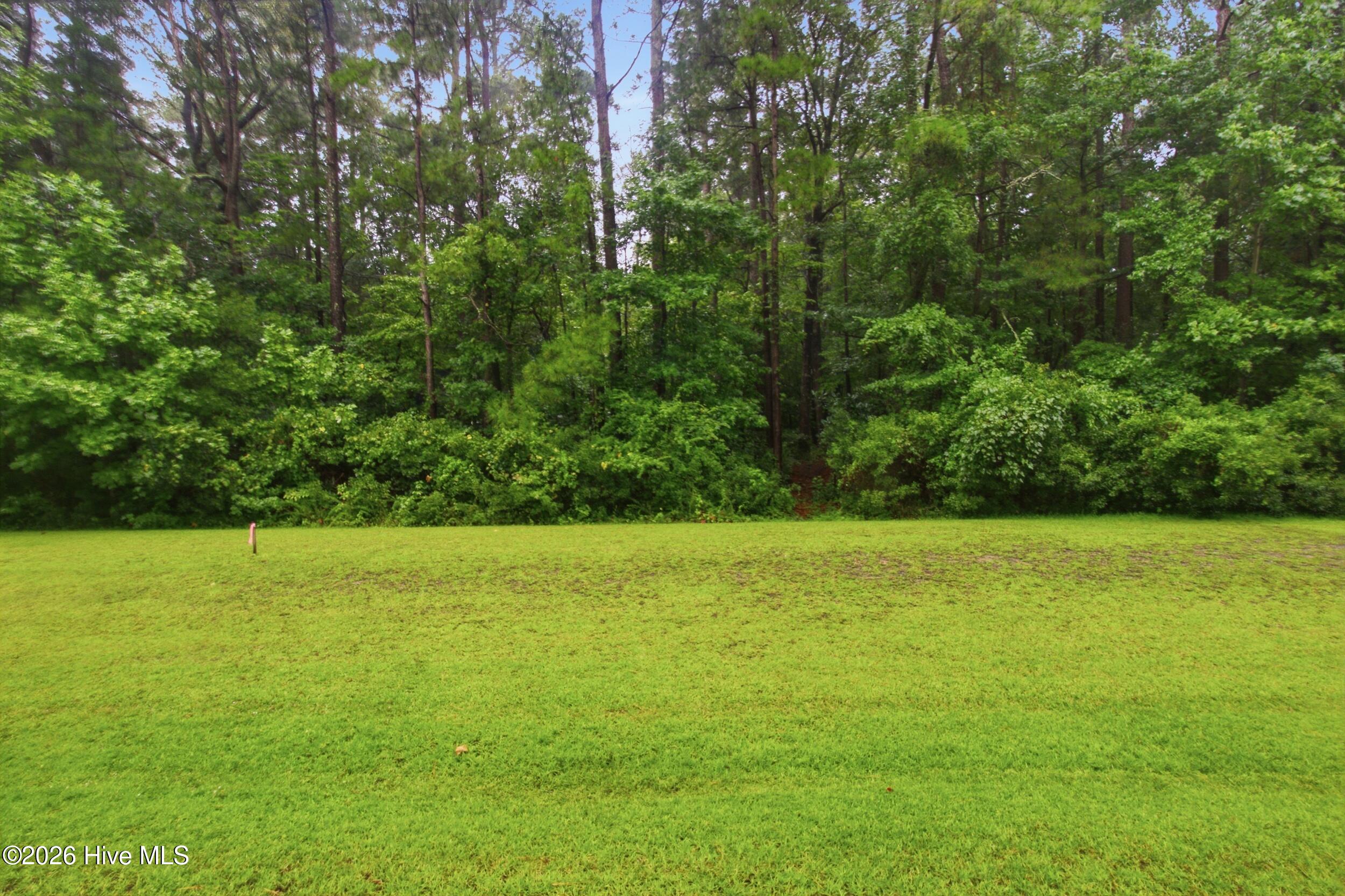 206 Culpeper Road Property Photo 6