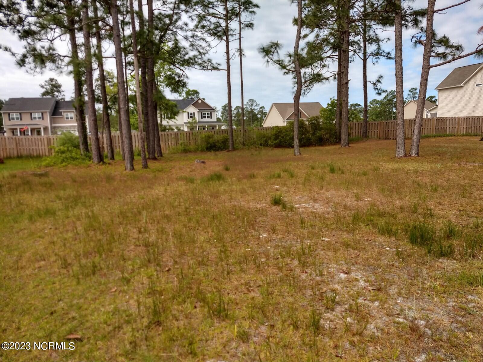 239 Castlebury Lane Property Photo 20