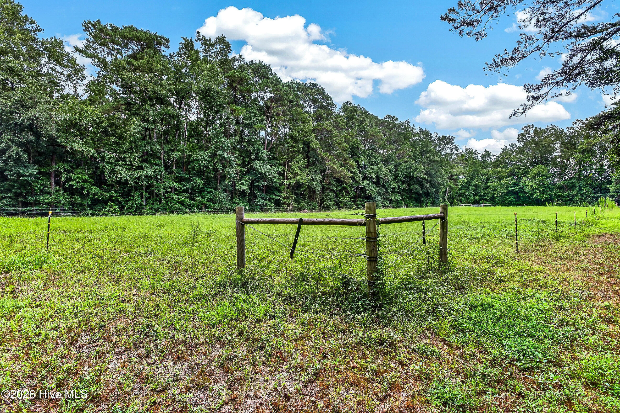 221 Myrtle Sholar Road Property Photo 49